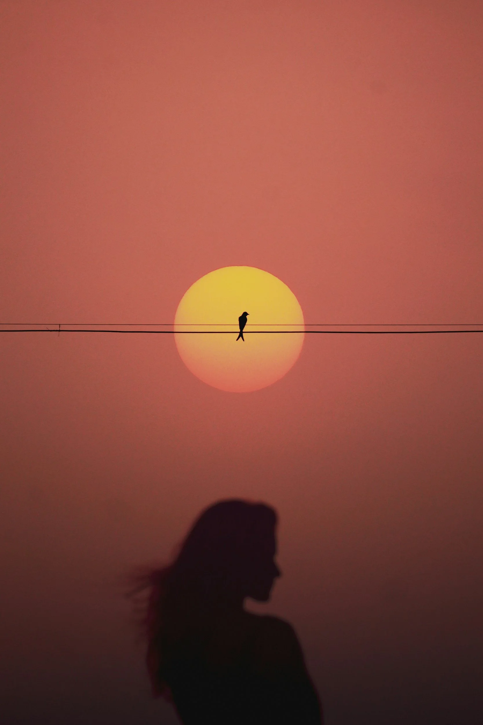Silhouette of a woman in the foreground and a bird on a wire against a sunset with a large sun, pink and orange sky, and reflection on water.