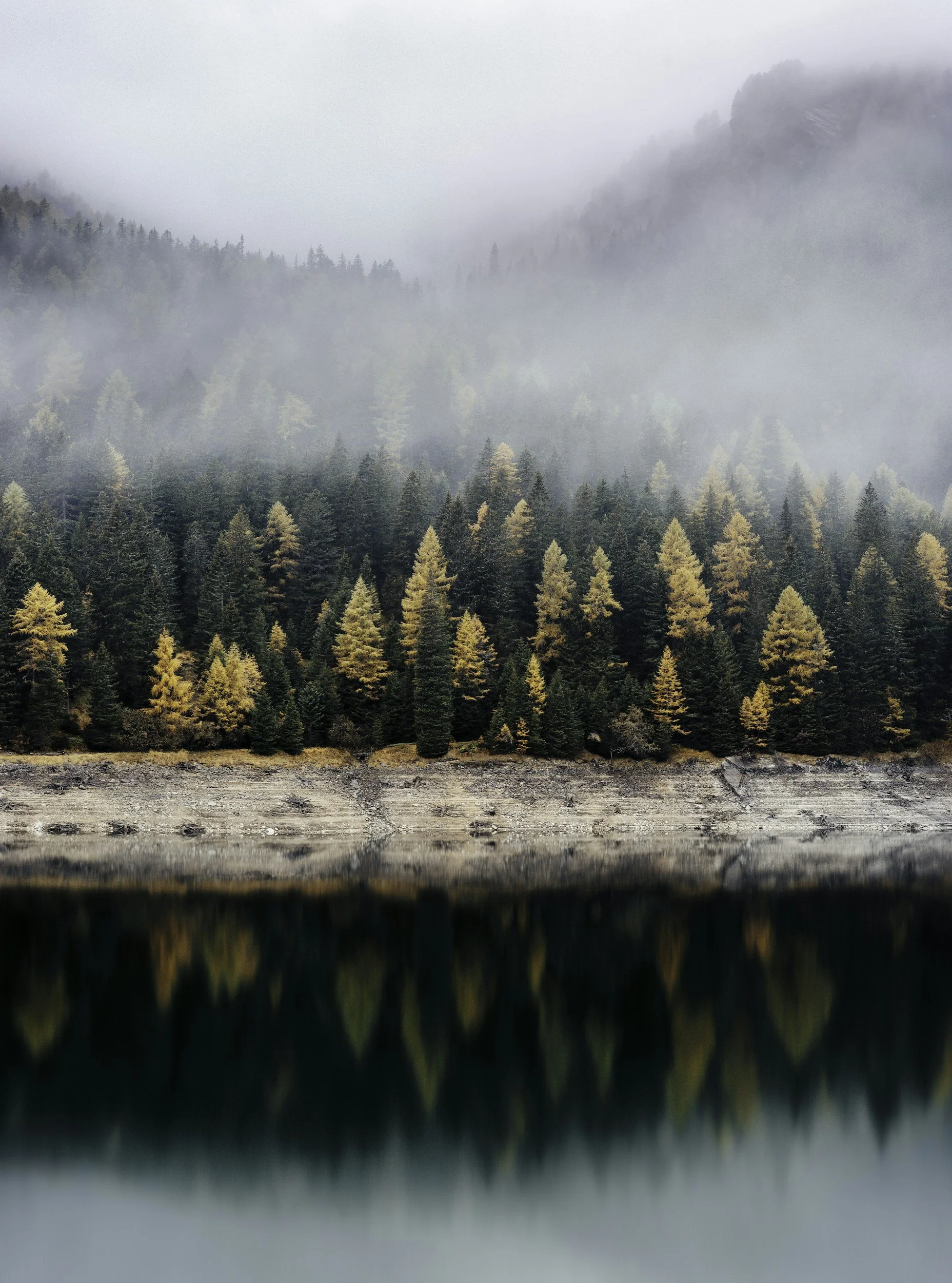 A foggy mountain landscape with evergreen trees and yellow autumn foliage along a calm body of water, reflecting the trees and mountains.