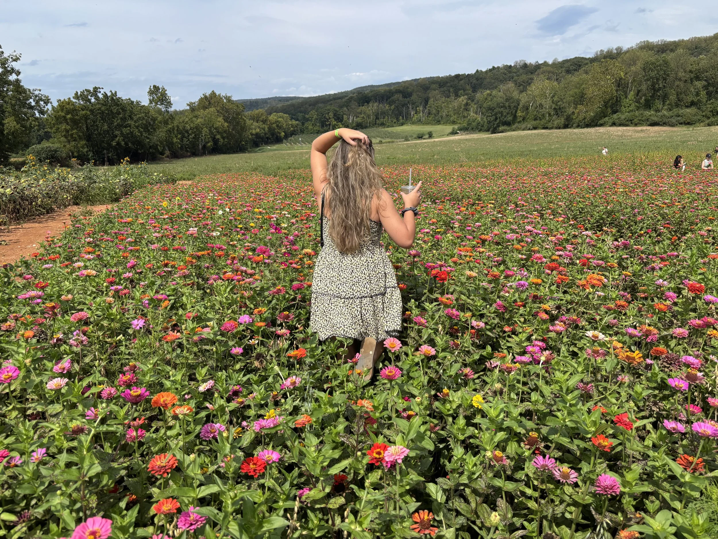 A woman with long blonde hair wearing a black and white dress standing in a vibrant flower field, with her back to the camera, surrounded by colorful blooming flowers and green hills in the distance.