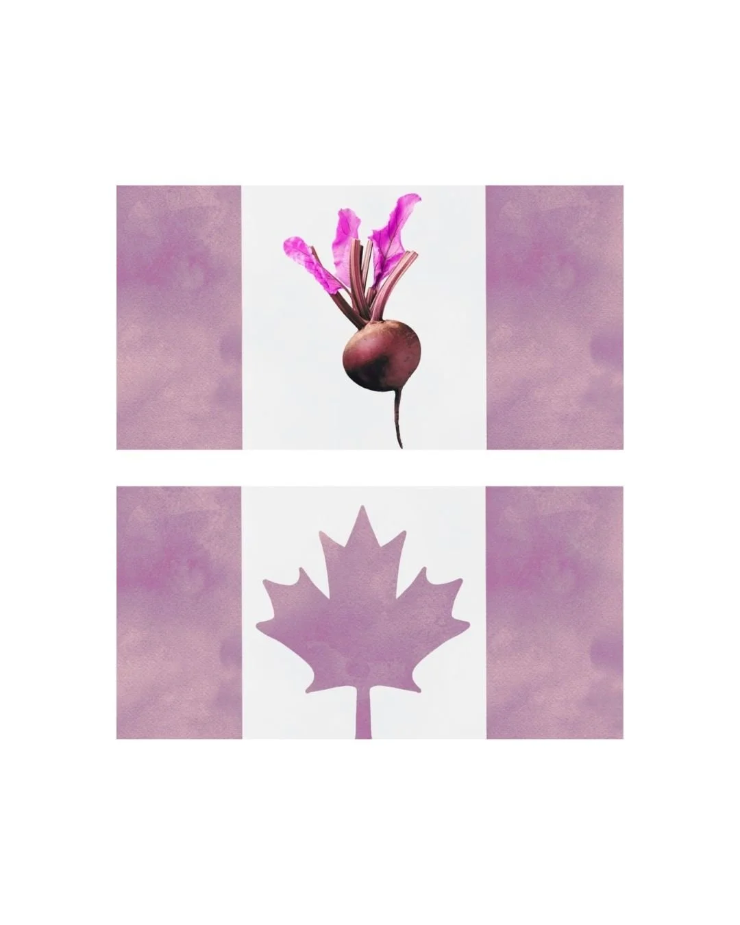 Behind the Pink Curtain Poetry Book Presentation