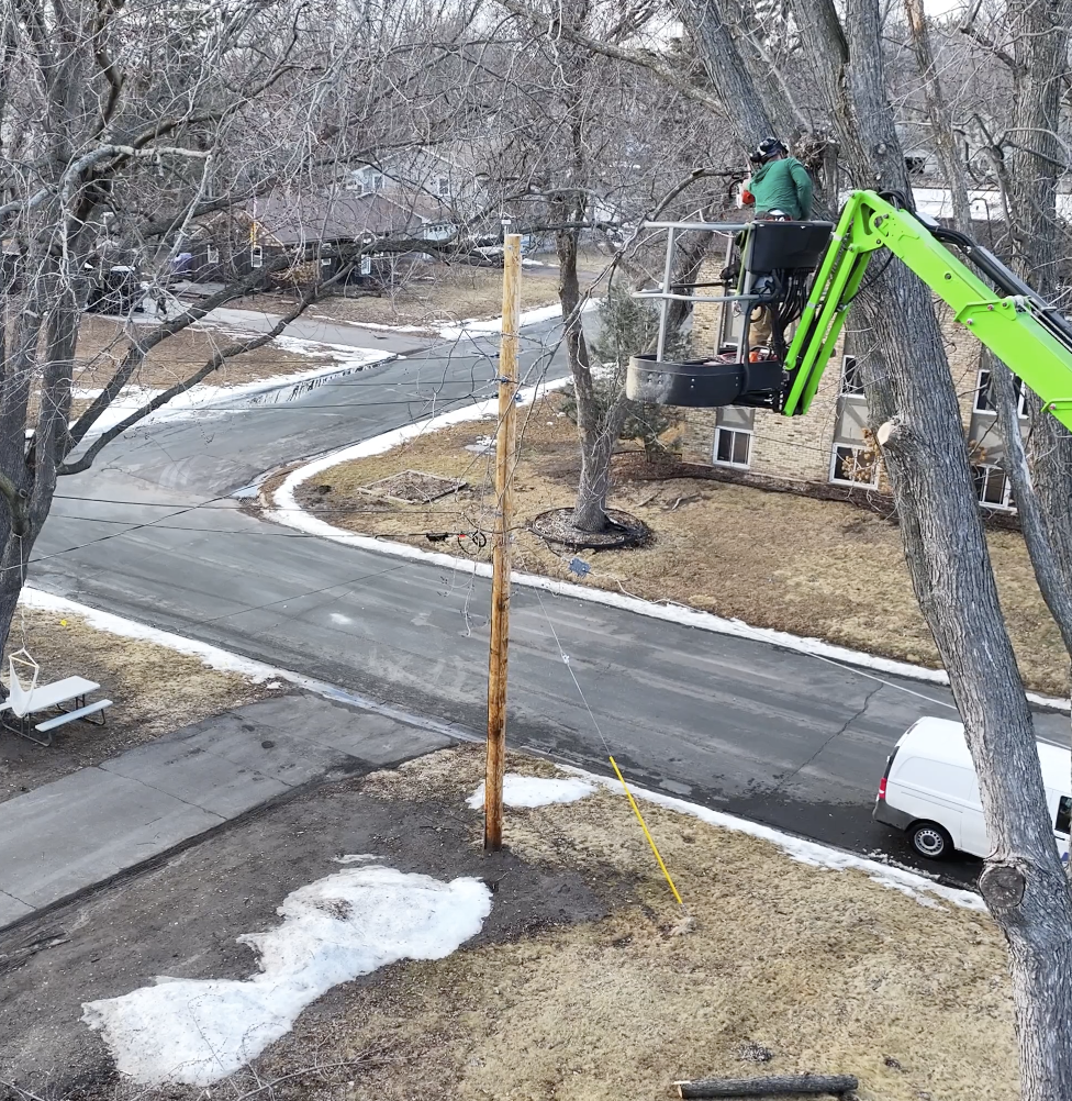 The Hidden Cost of Delaying Storm-Damage Tree Cleanup in Minnesota: Why Homeowners Shouldn’t Wait Until Spring