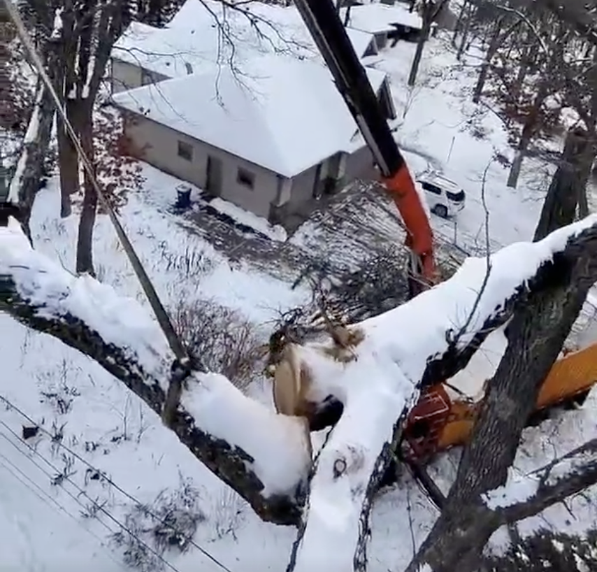 Commercial Property Owners: How Winter Tree Cleanup Reduces Danger &amp; Liability