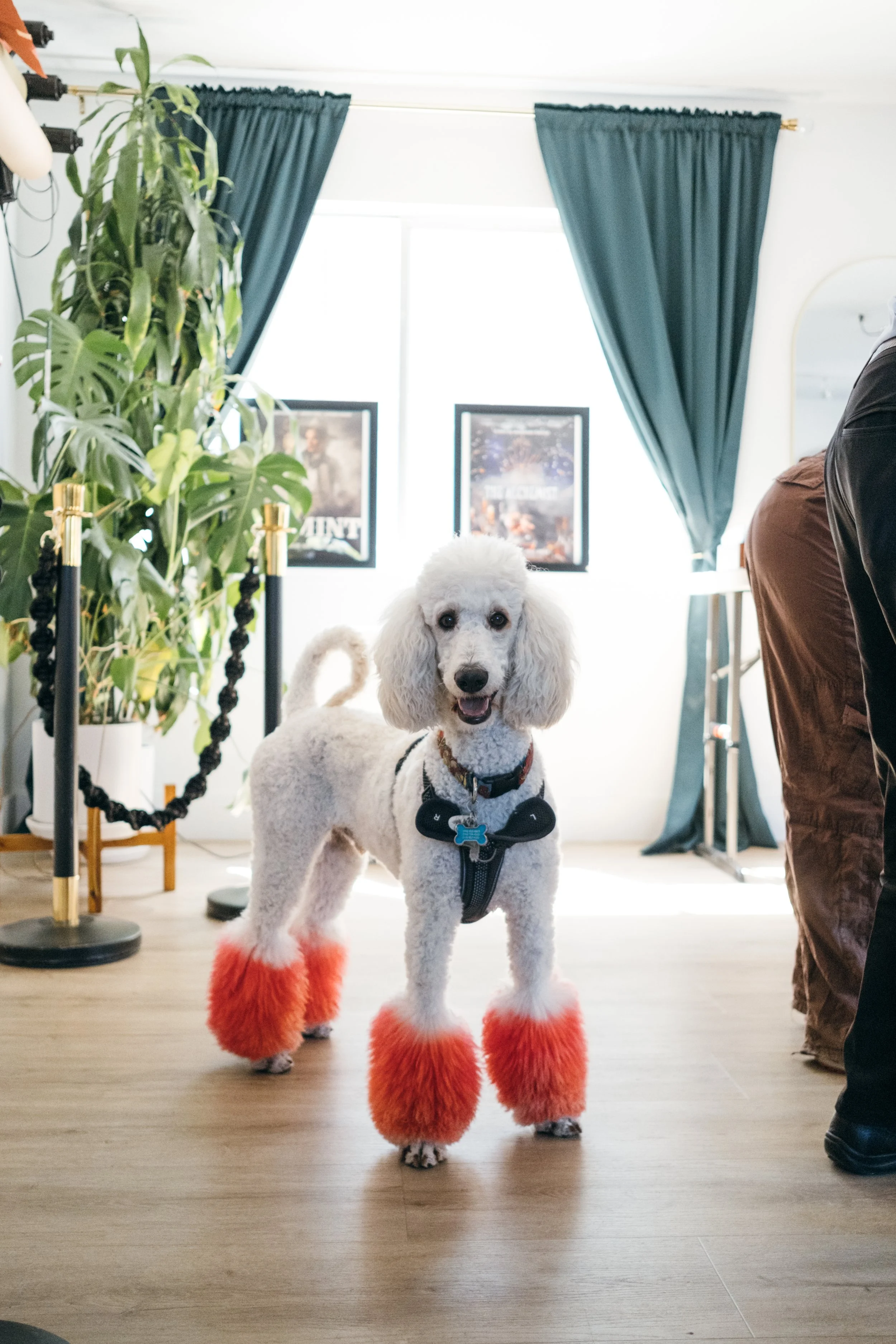 Aditi Escape Room_6.jpg