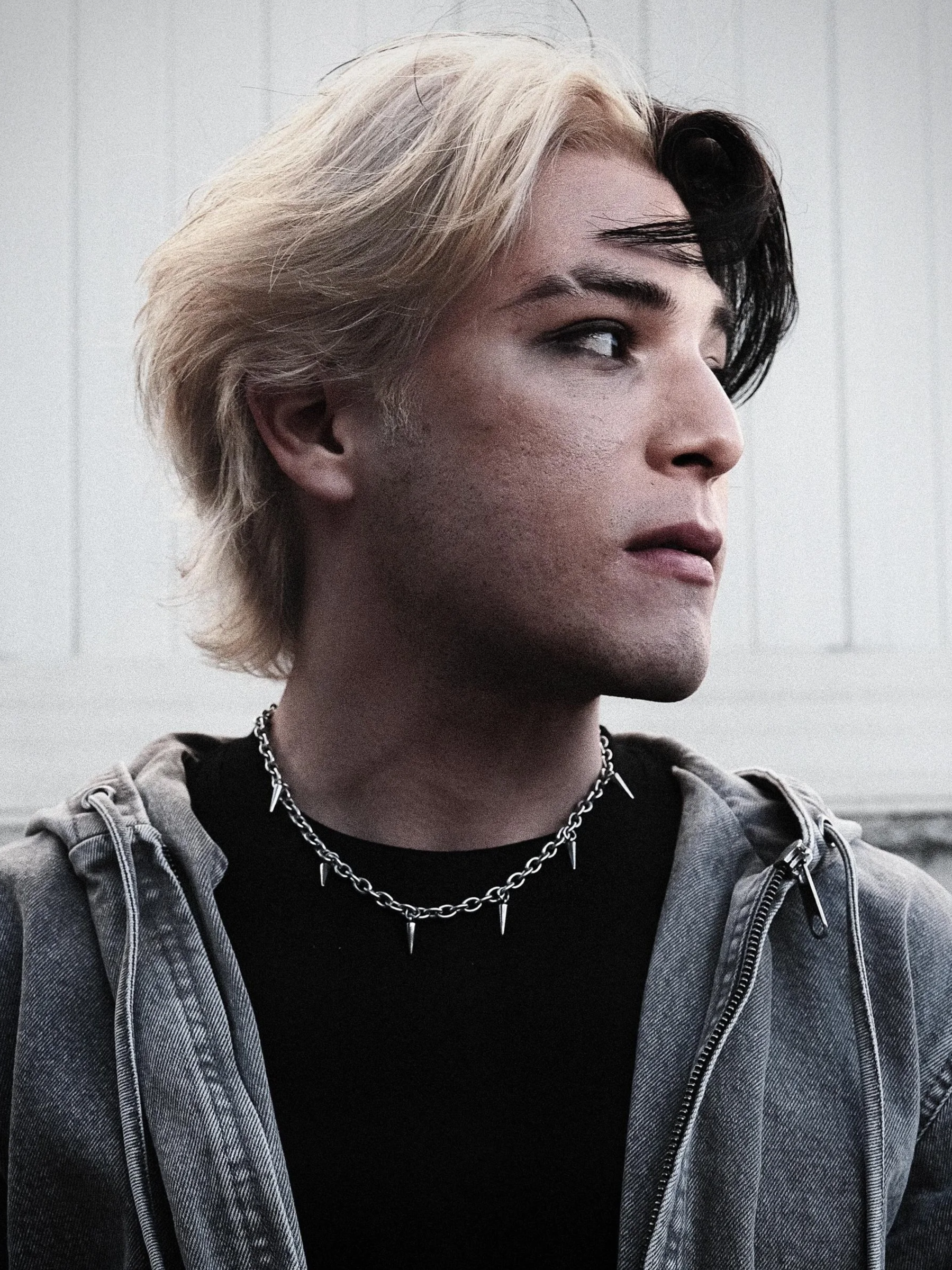 Split Dye (Silver & Black) + Wolfcut