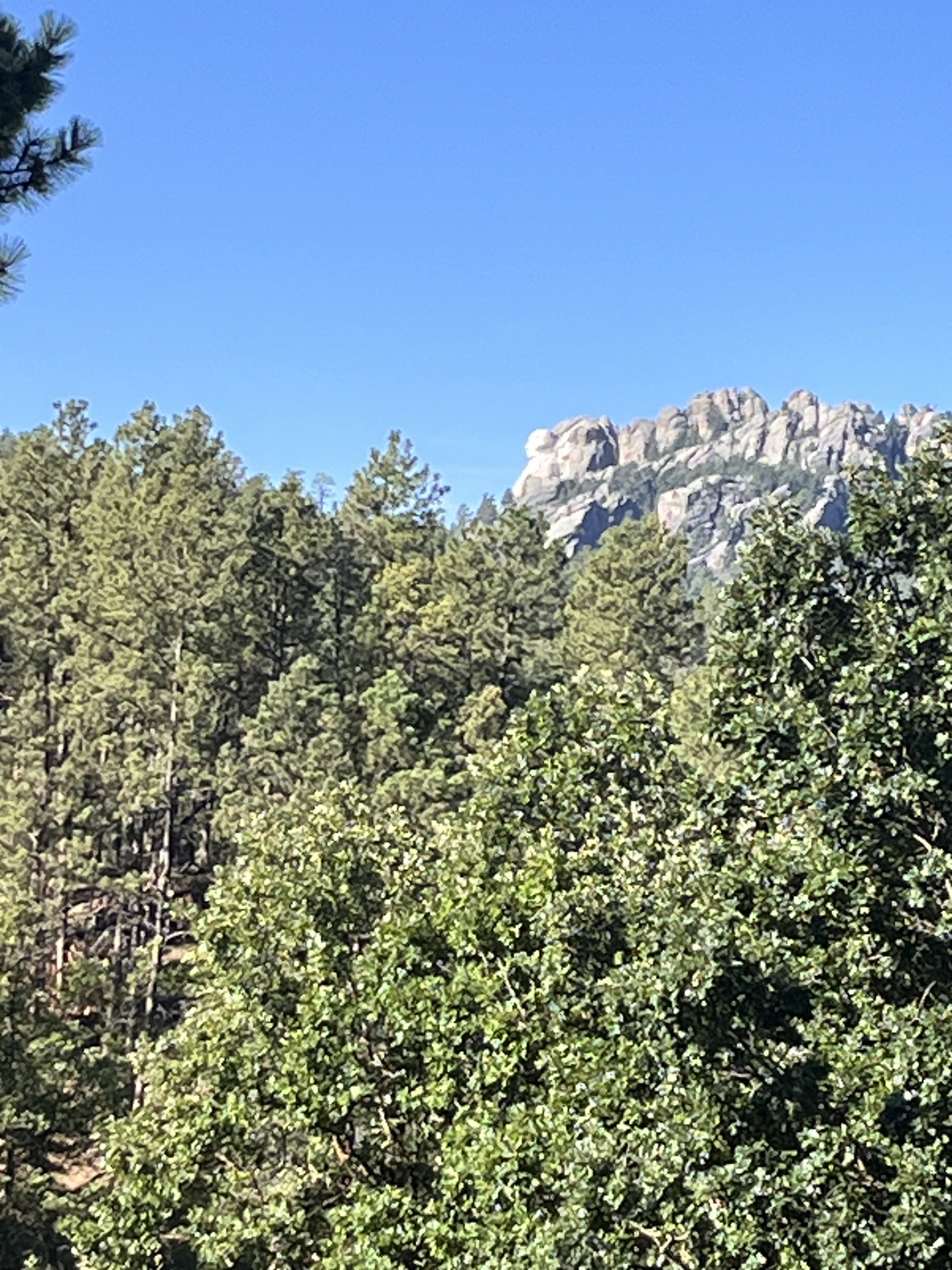 Run for the Hills 2026 Black Hills, SD
