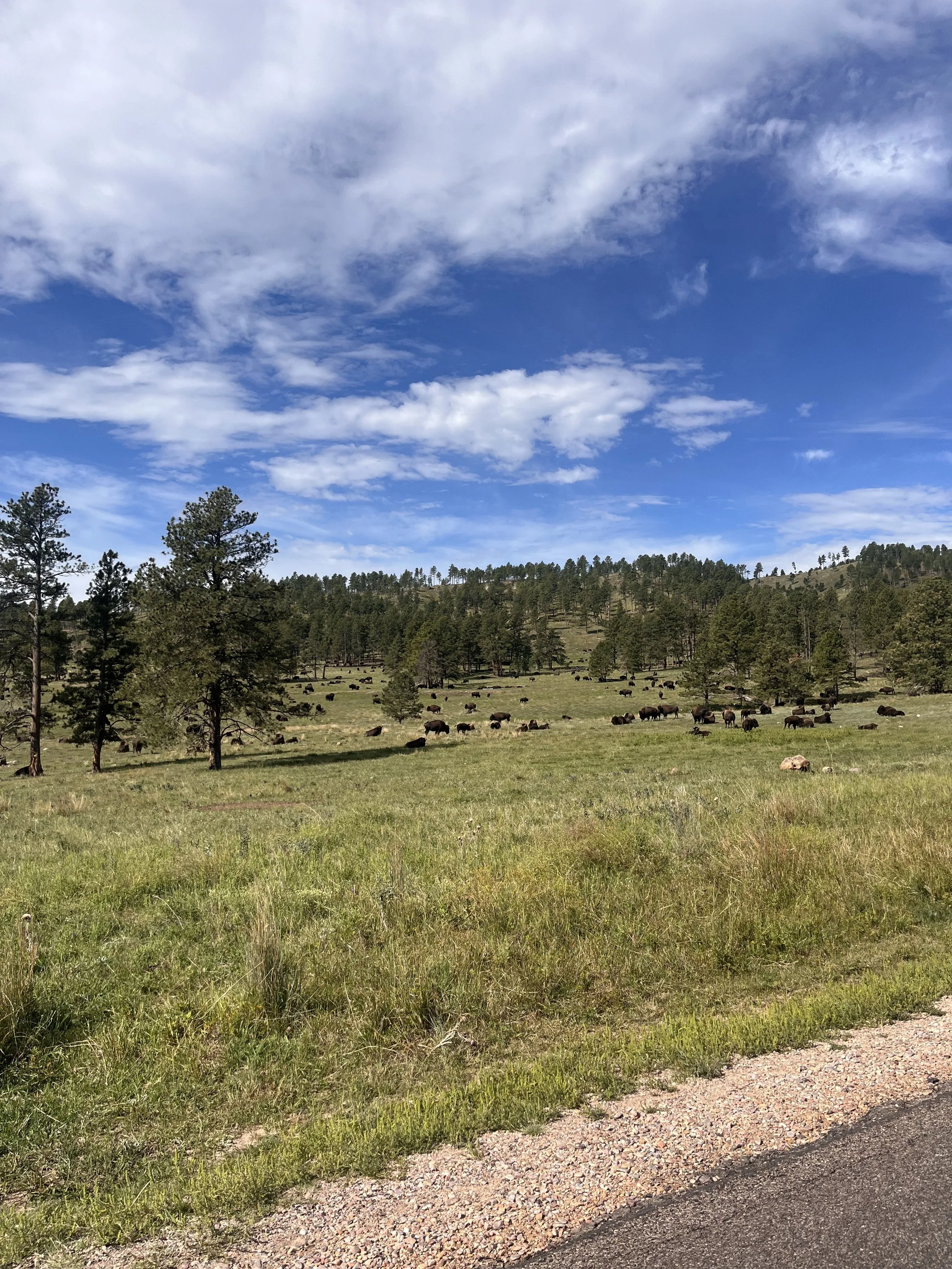 Run for the Hills 2026 Black Hills, SD