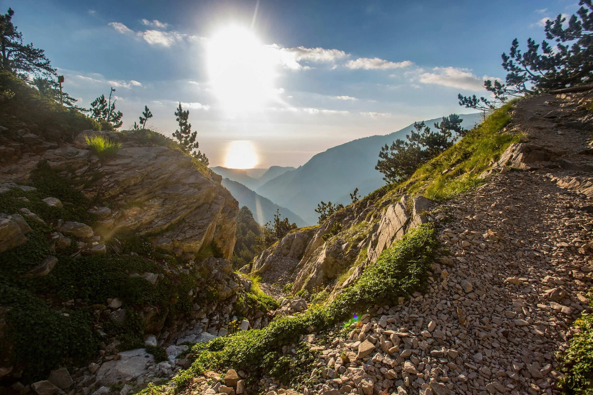 Sunset over a mountain canyon with rocky slopes, green vegetation, and pine trees.