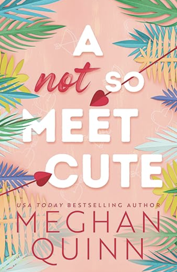 A Not So Meet Cute | ⭐ 3.5