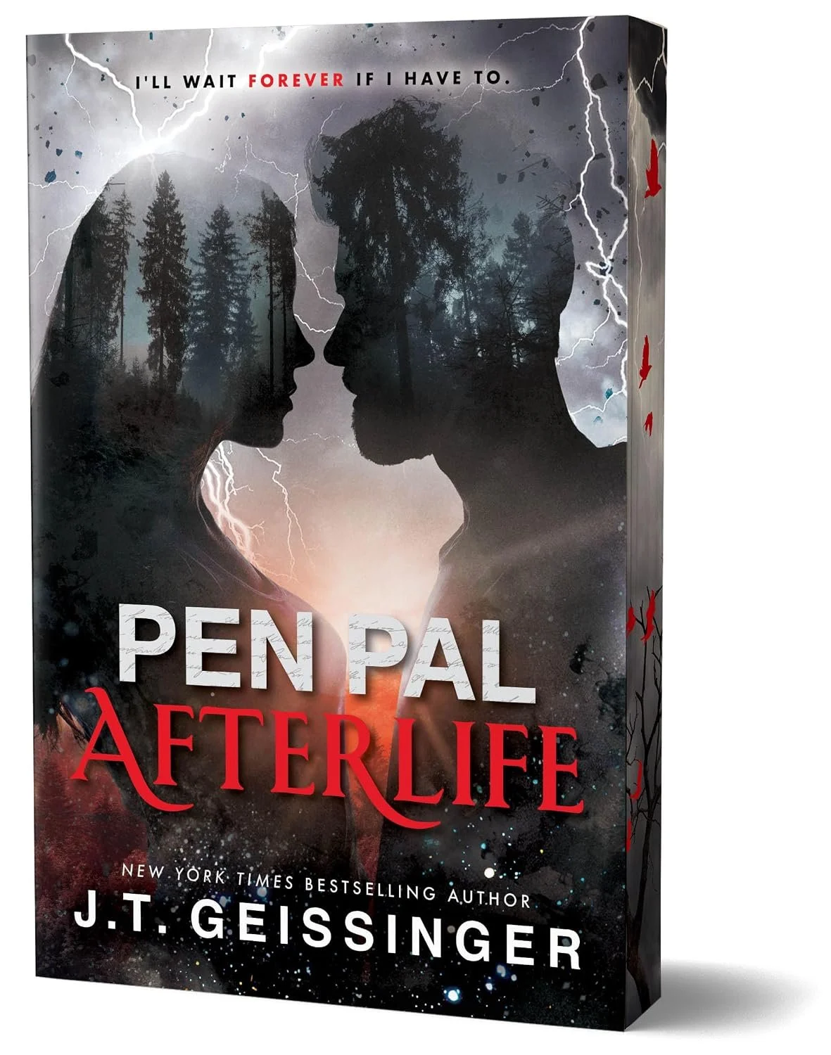 Nov 24: Pen Pal Afterlife by J.T. Geissinger