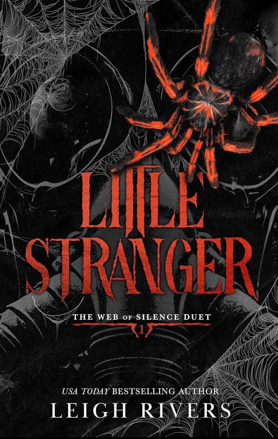 Book cover for 'Little Stranger' by Leigh Rivers, featuring a black background with spider webs and a large orange and black tarantula.
