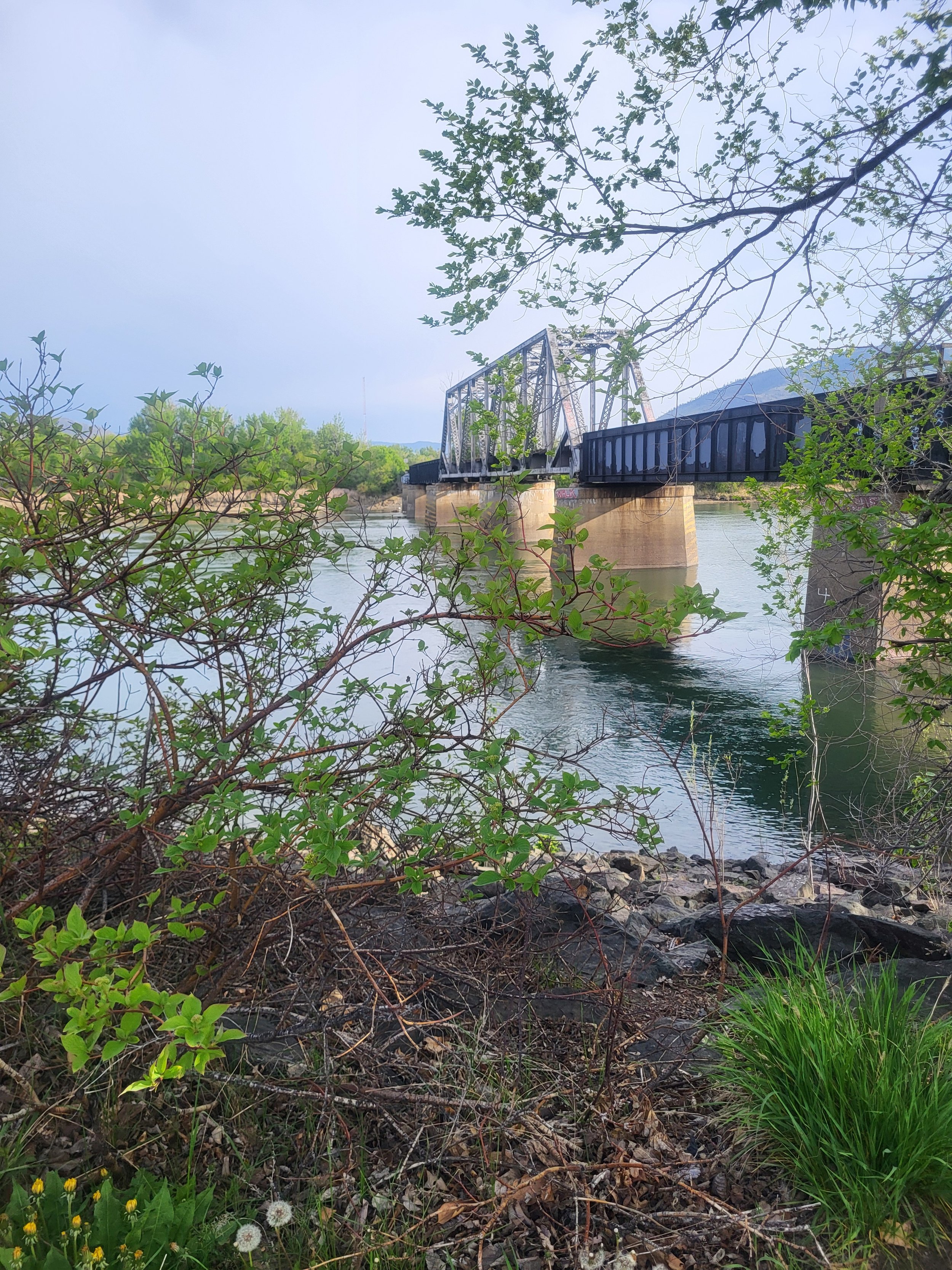 Review of EV Impacts