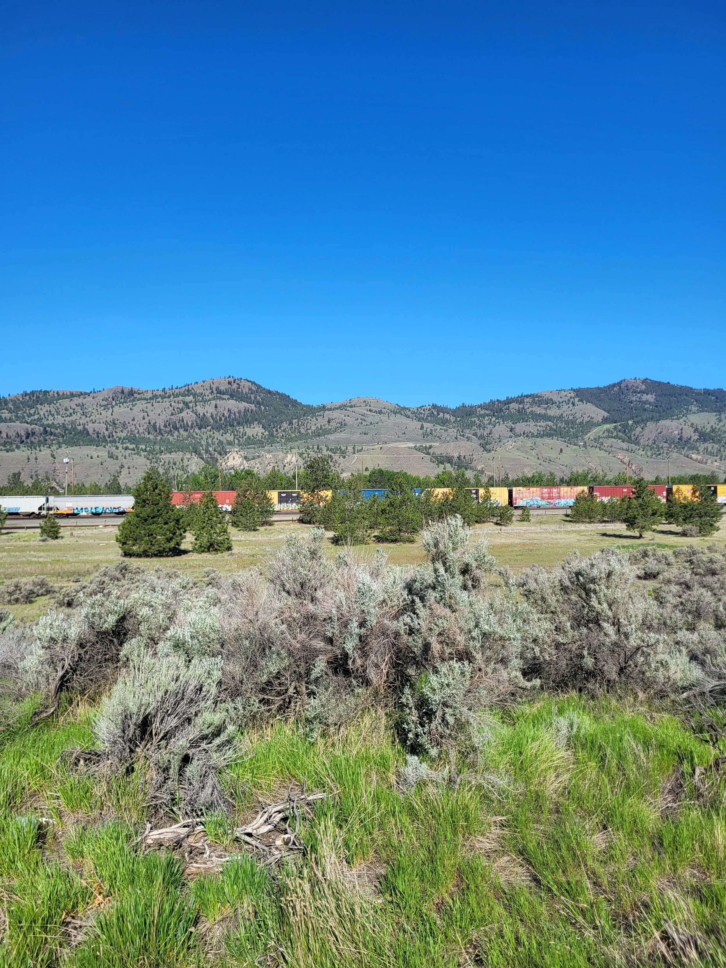 Zero Waste Grocery Stores