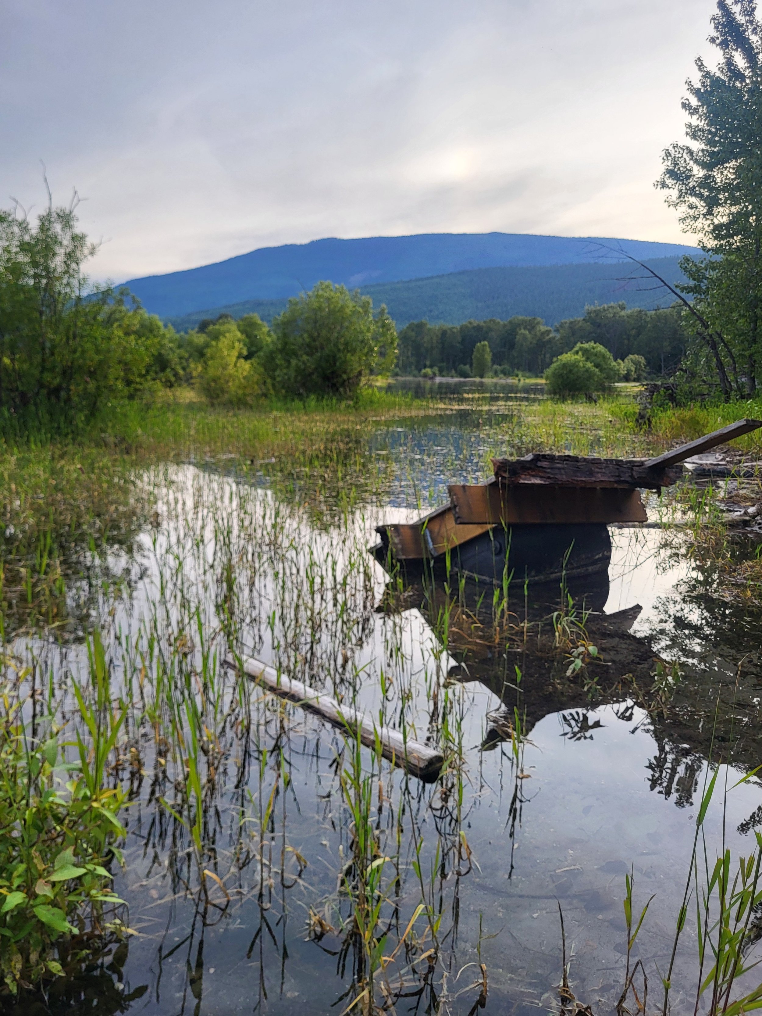 Economic and Environmental Impacts of Cigarettes