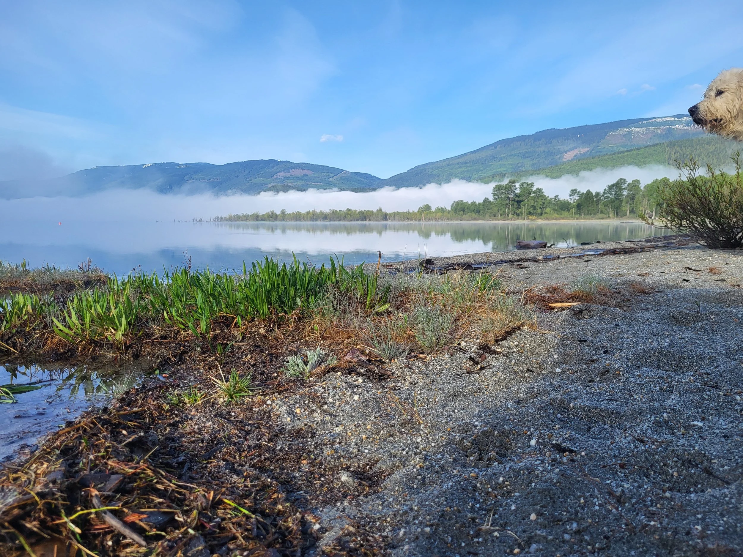 International Cooperation