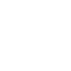 EV Icon