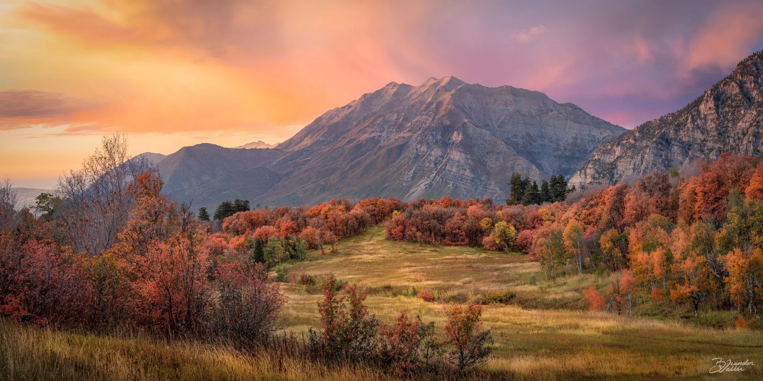 Timpanogos Gold.jpg