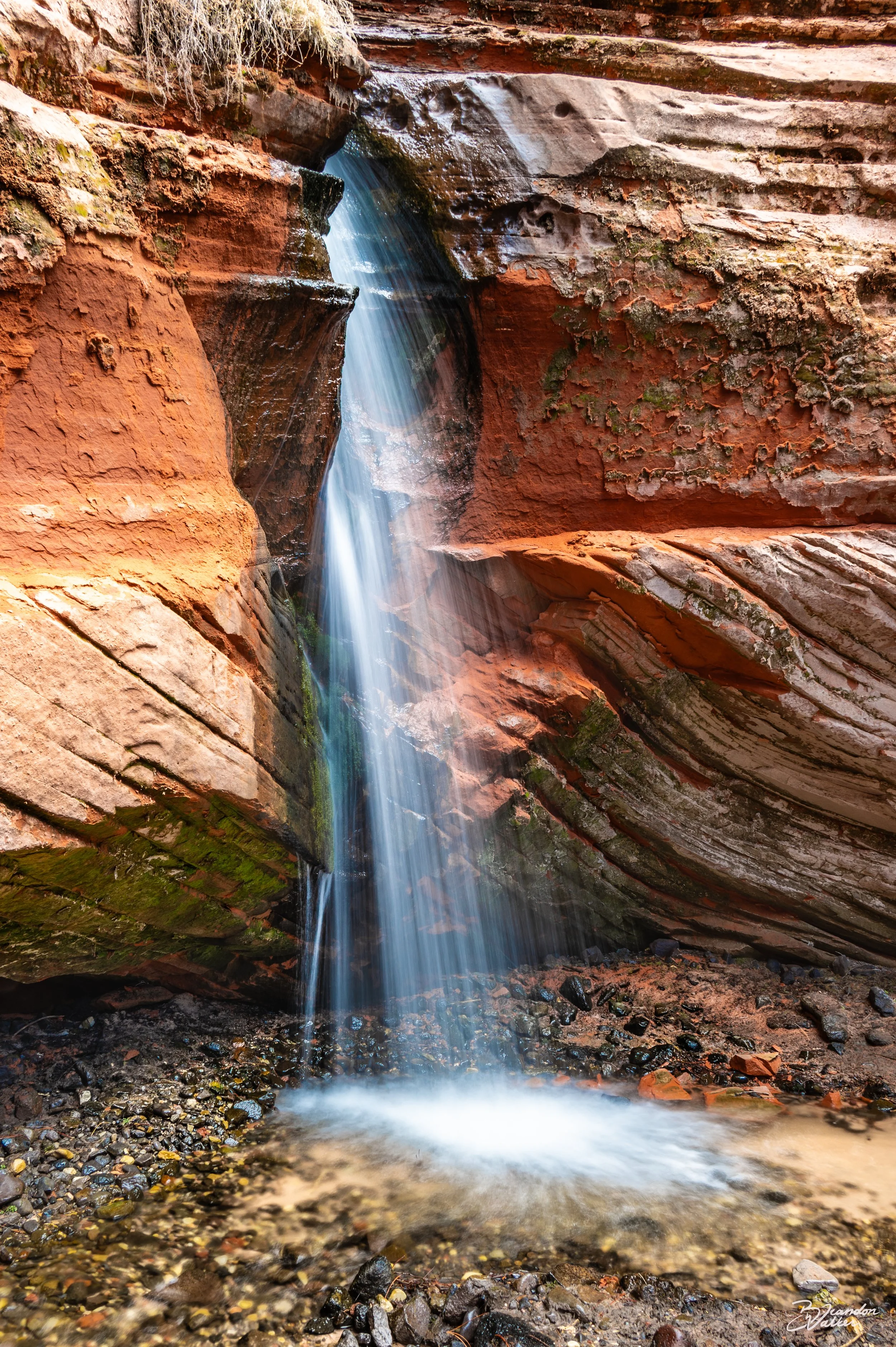 Trickle.jpg