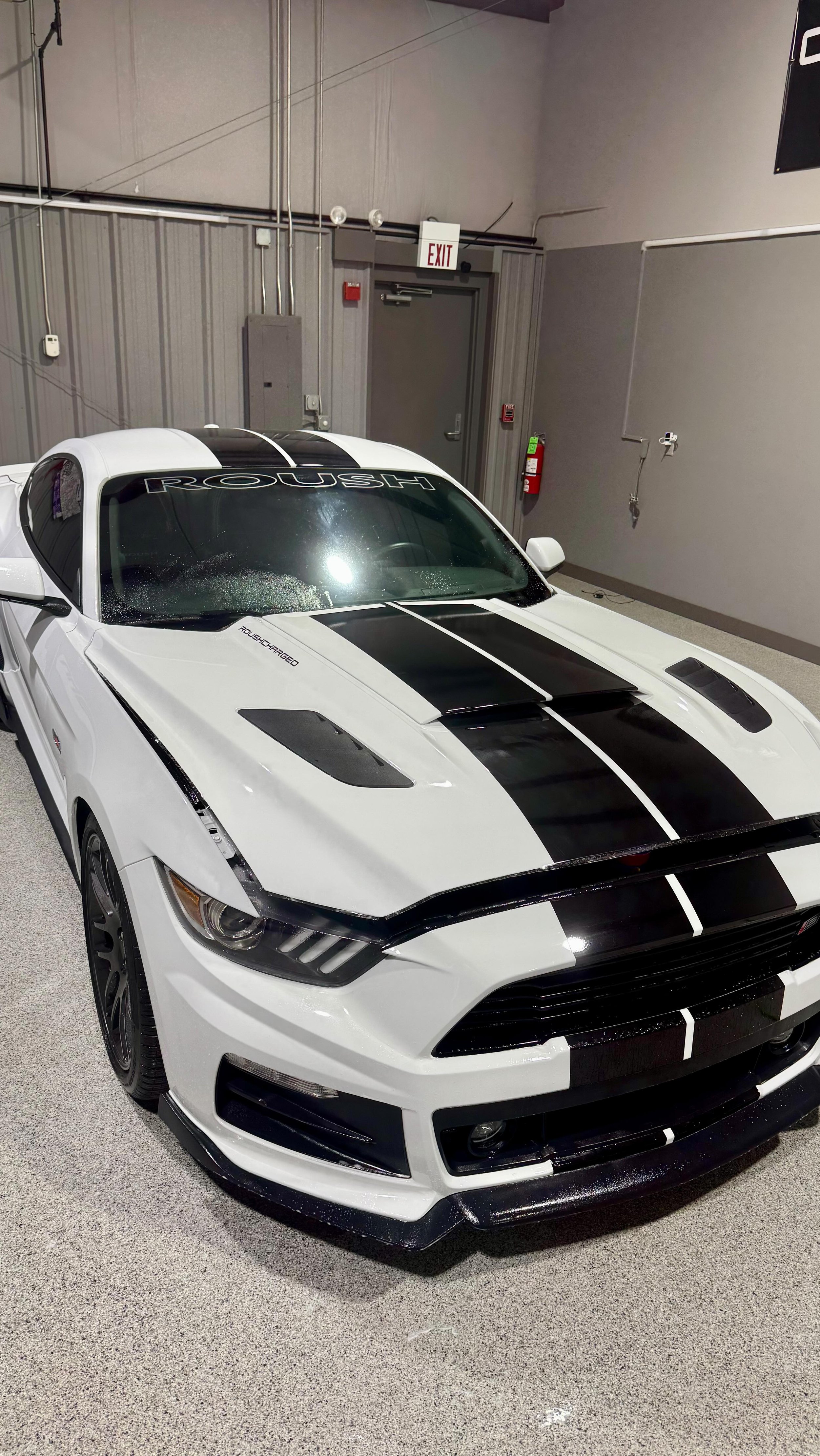 Mint. Mean. Protected.
Full front PPF + stripes all the way through on this Roush Mustang 💪🏽🔥
Paint protected, look perfected.
#fordmustang #rousch #fordmustangroush #paintprotectıonfılm #fastcars #americanmusclecars #napervilleillinois #plainfie