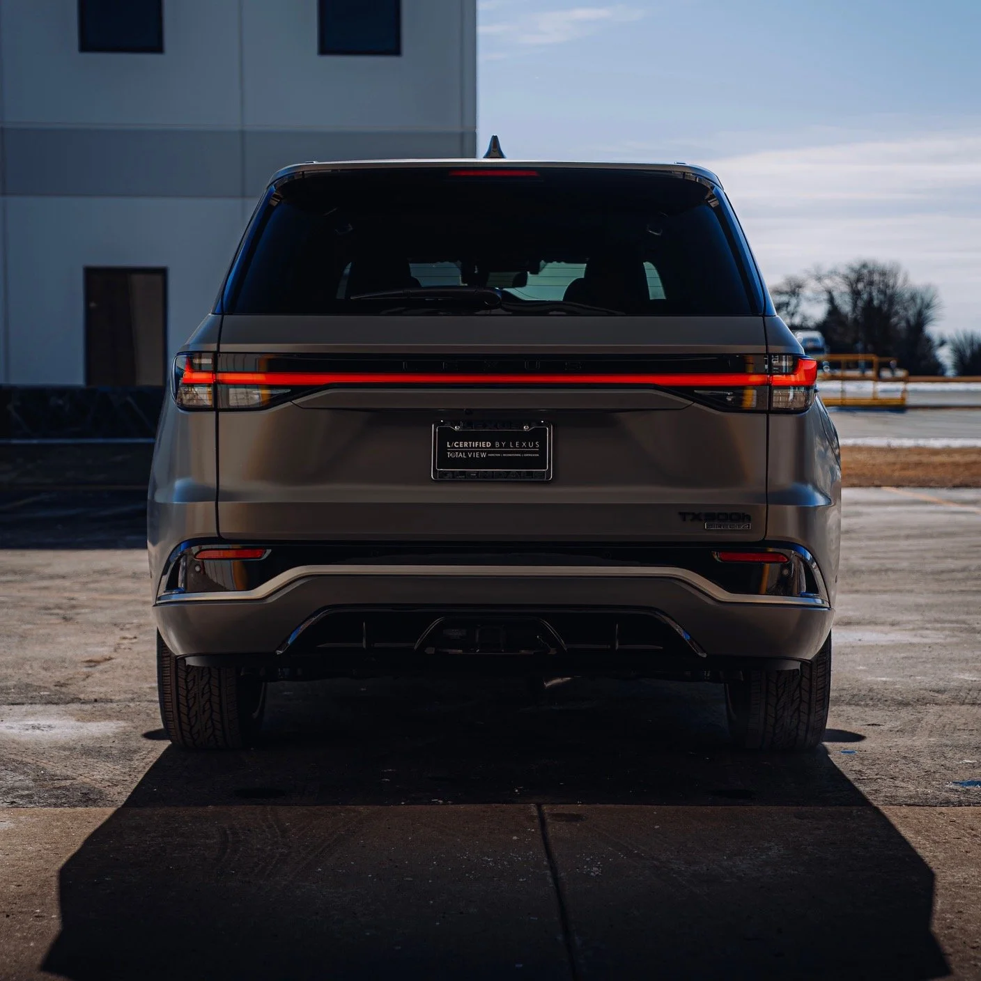 Lexus TX - Full Coverage PPF in Matte | Ceramic Coating | Wheel Coating 
