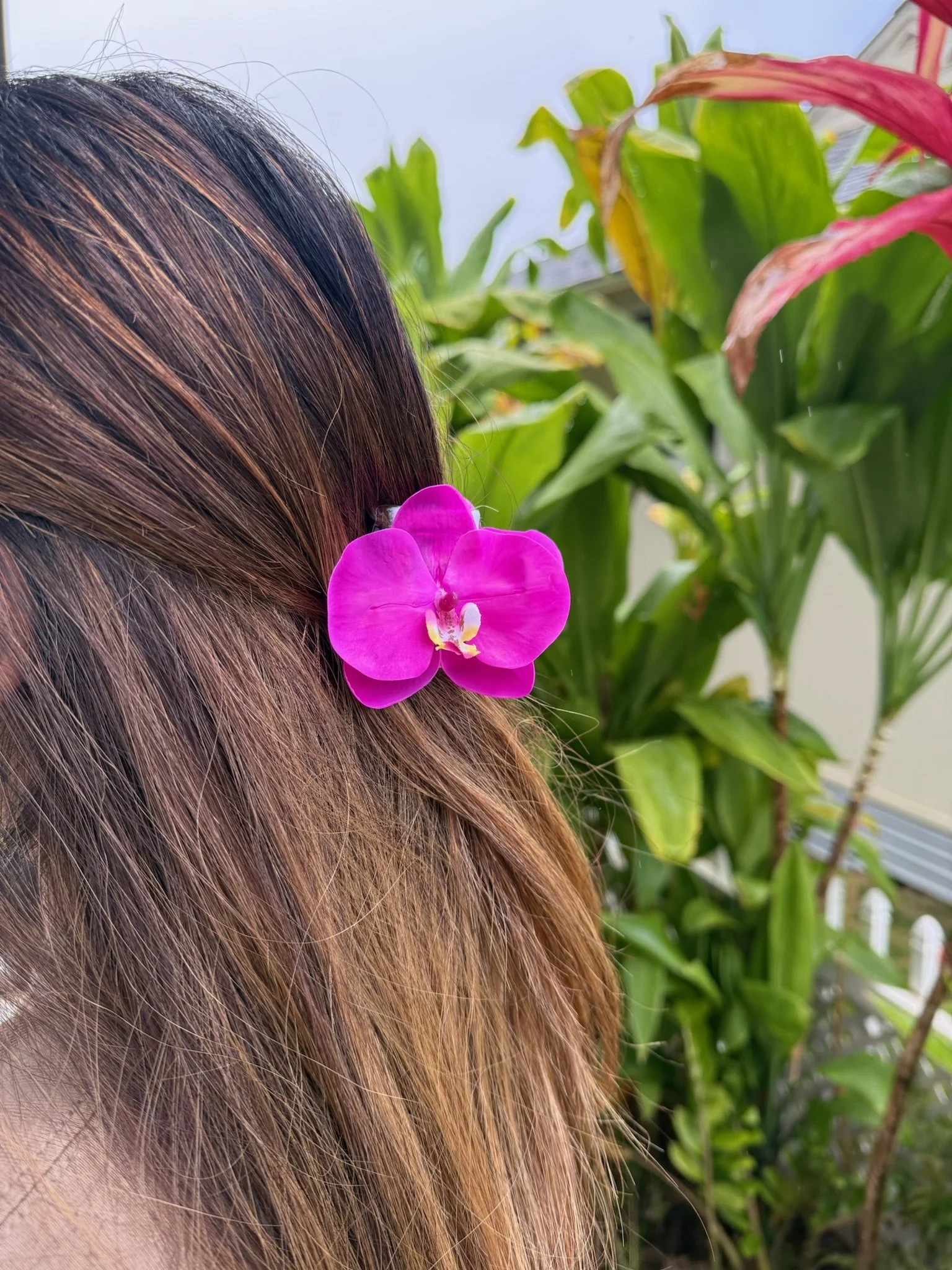 Orchid Claw Clip Dark Purple - XS