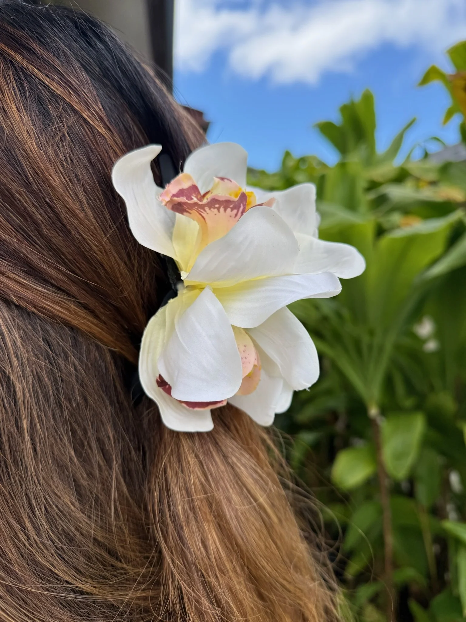 Cymbidium Claw Clip White - Large