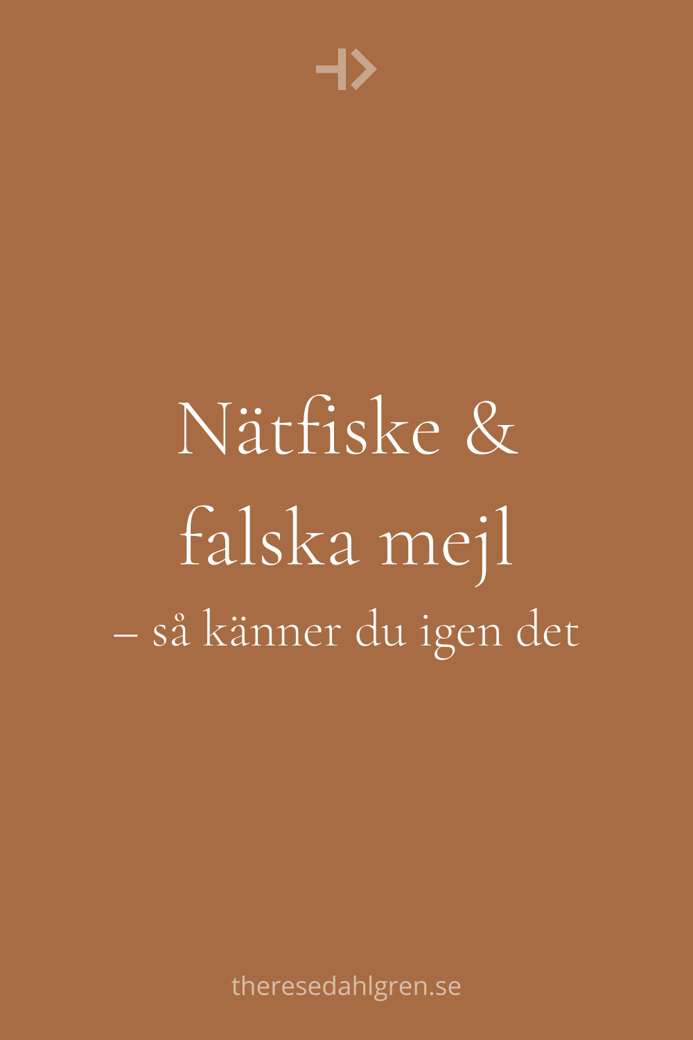 Nätfiske och falska mejl – så känner du igen det