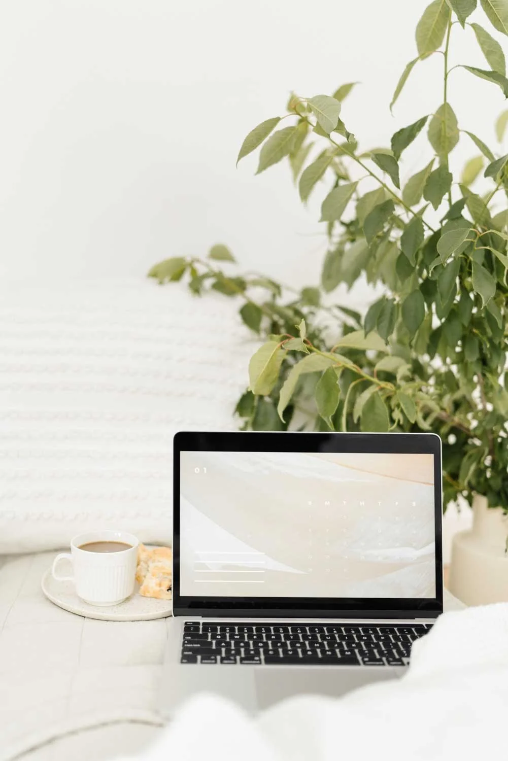 Dator, blank skärm, växt och kaffe. Vilka alternativ det finns för hjälp med Squarespace och din hemsida. Therese Dahlgren