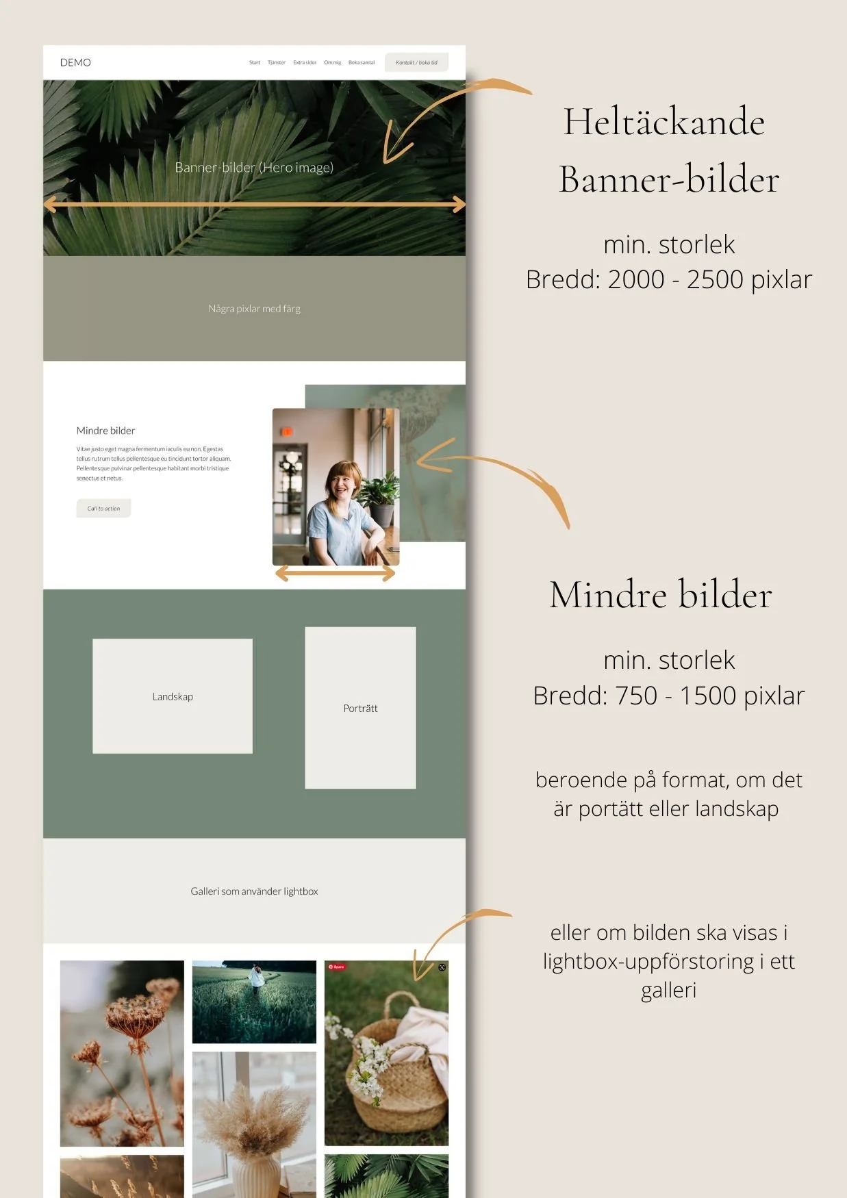 Mått på olika bilder i px. Lämplig storlek på en bild för webben. Therese Squarespace.