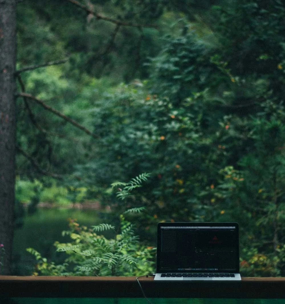 Skog, dator i fönster. Squarespace, uppdatera din webbplats. Therese Dahlgren design.