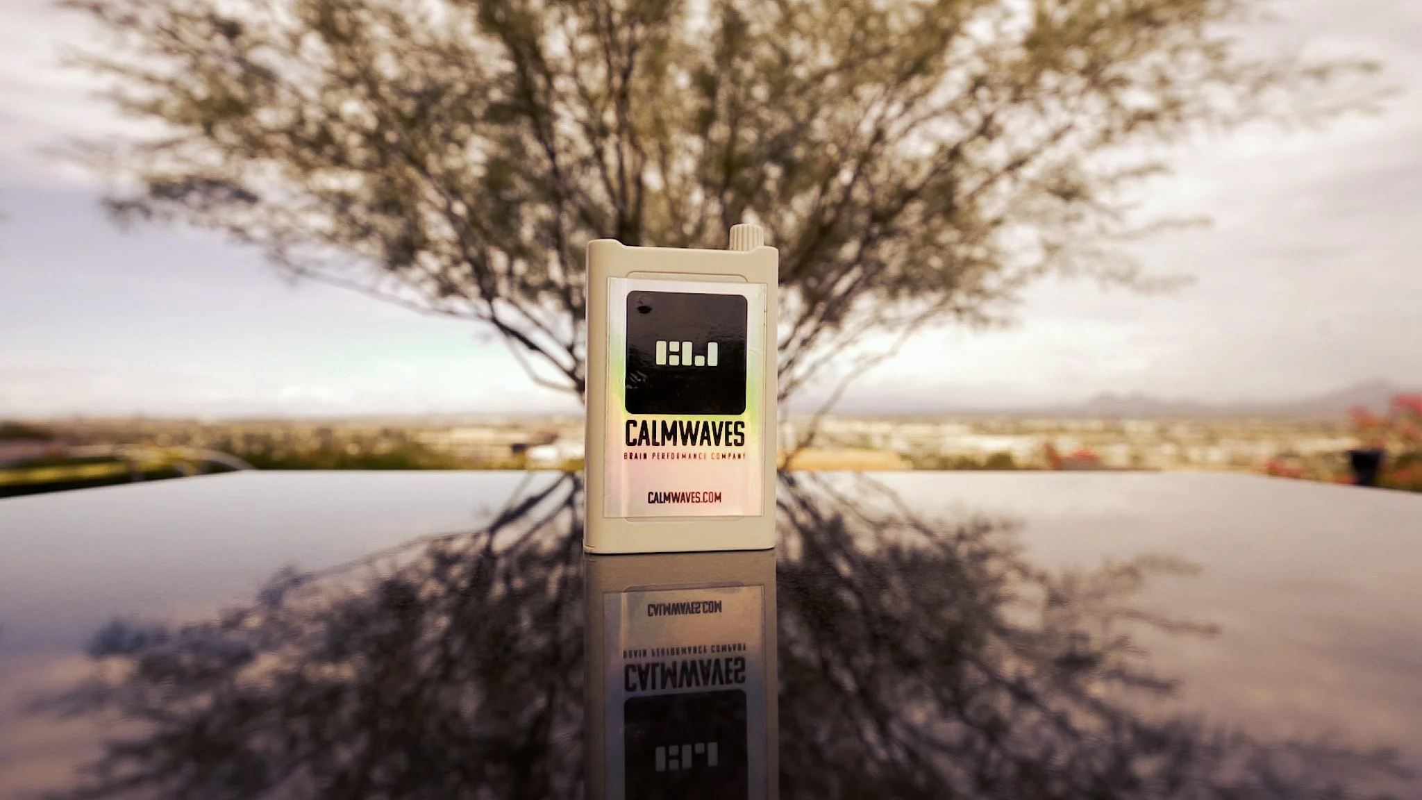 roof scene 2.00_00_02_18.Still003-3.jpg