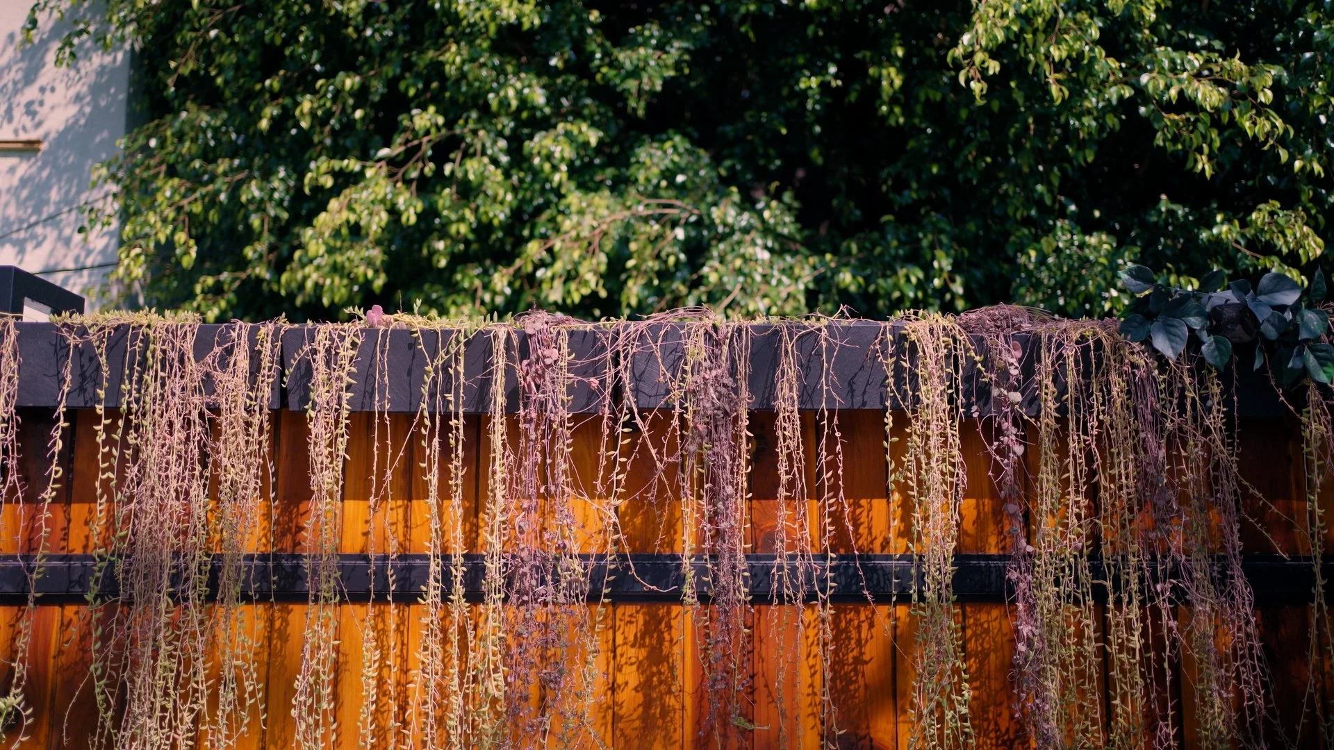 Still 2025-04-18 025501_1.3.1.jpg