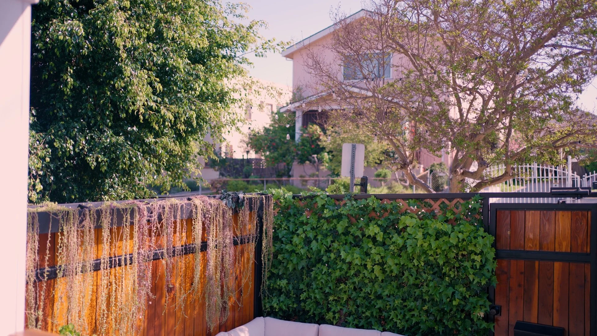 Still 2025-04-18 025501_1.12.1.jpg