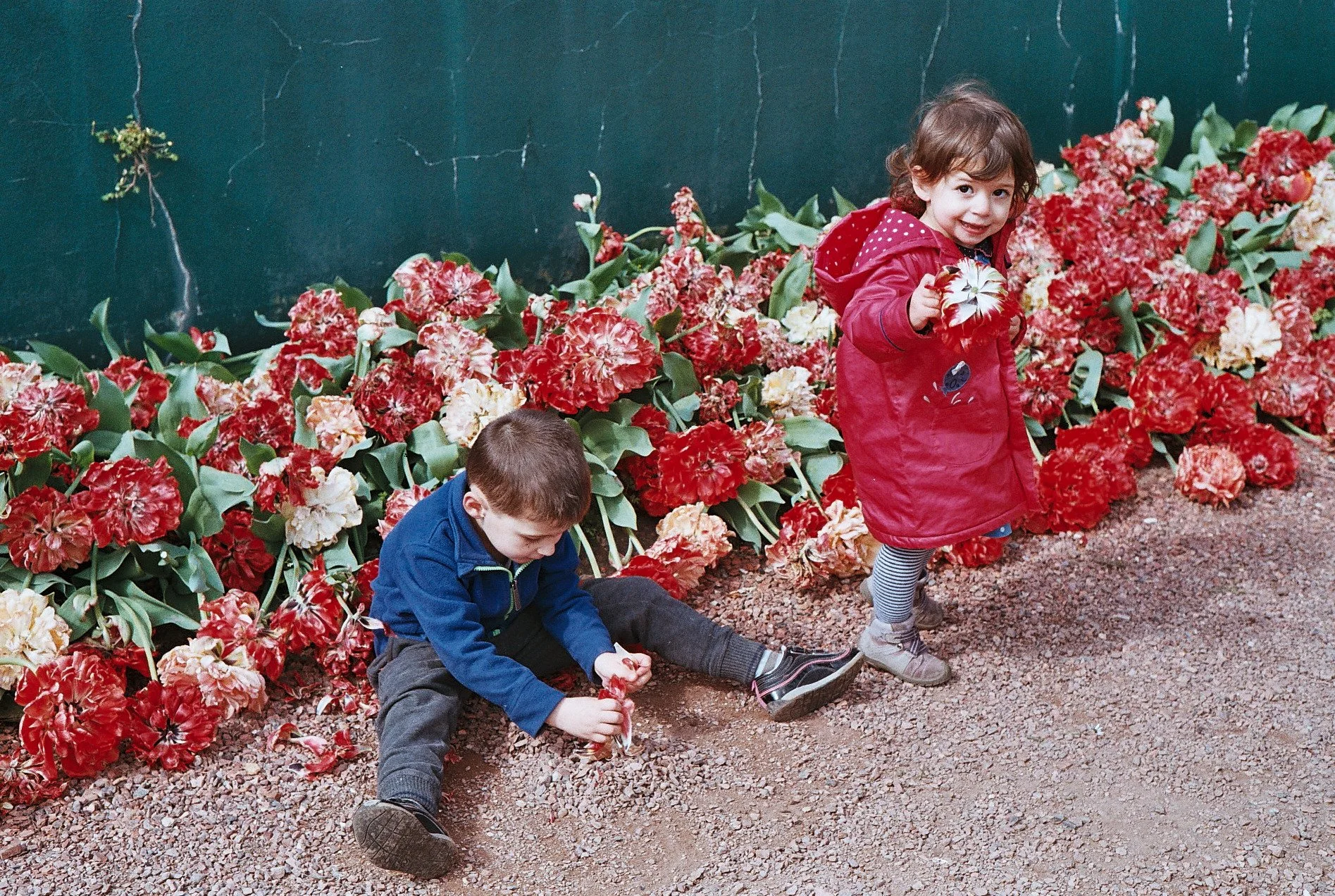 image-asset (2).jpeg