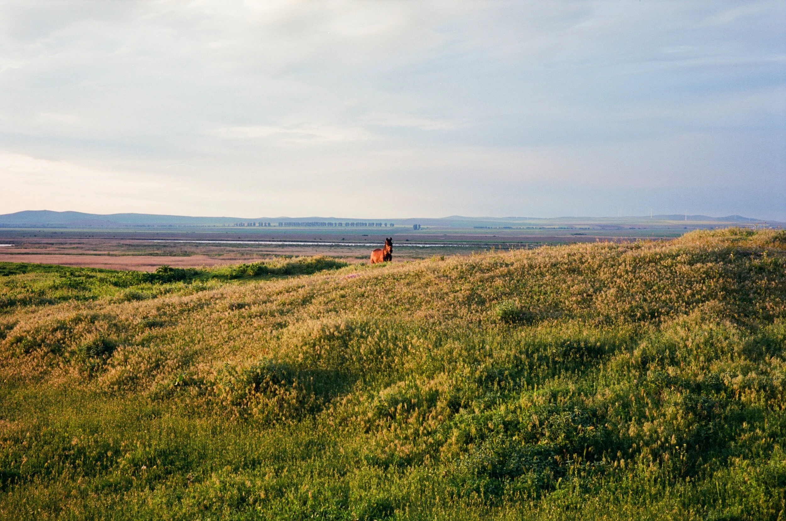 0029_27+(1).jpg
