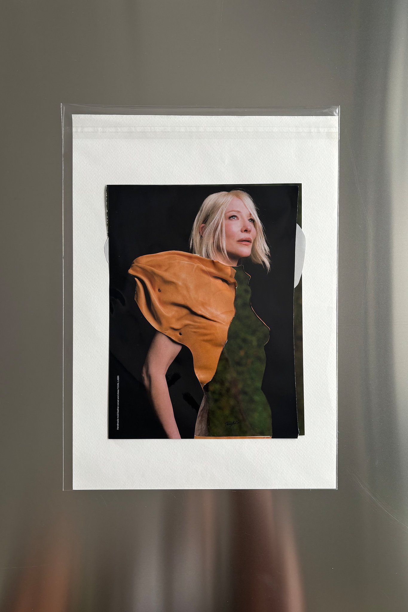 Cates on a plate phone.jpg