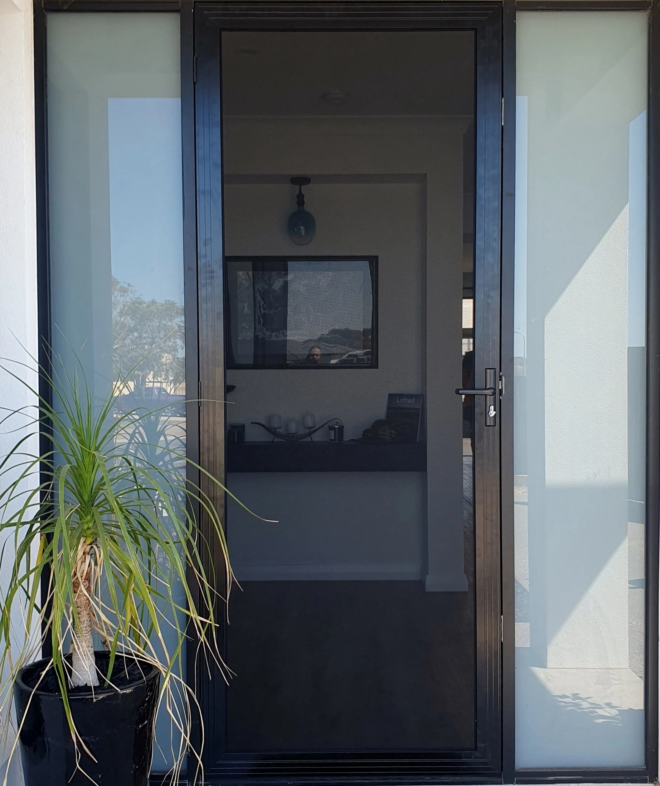Front door with black frame, glass panel, and a screen door. A potted plant with long green leaves is on the left side. Through the glass, a room with a window, a ceiling light, and a desk with items is visible.