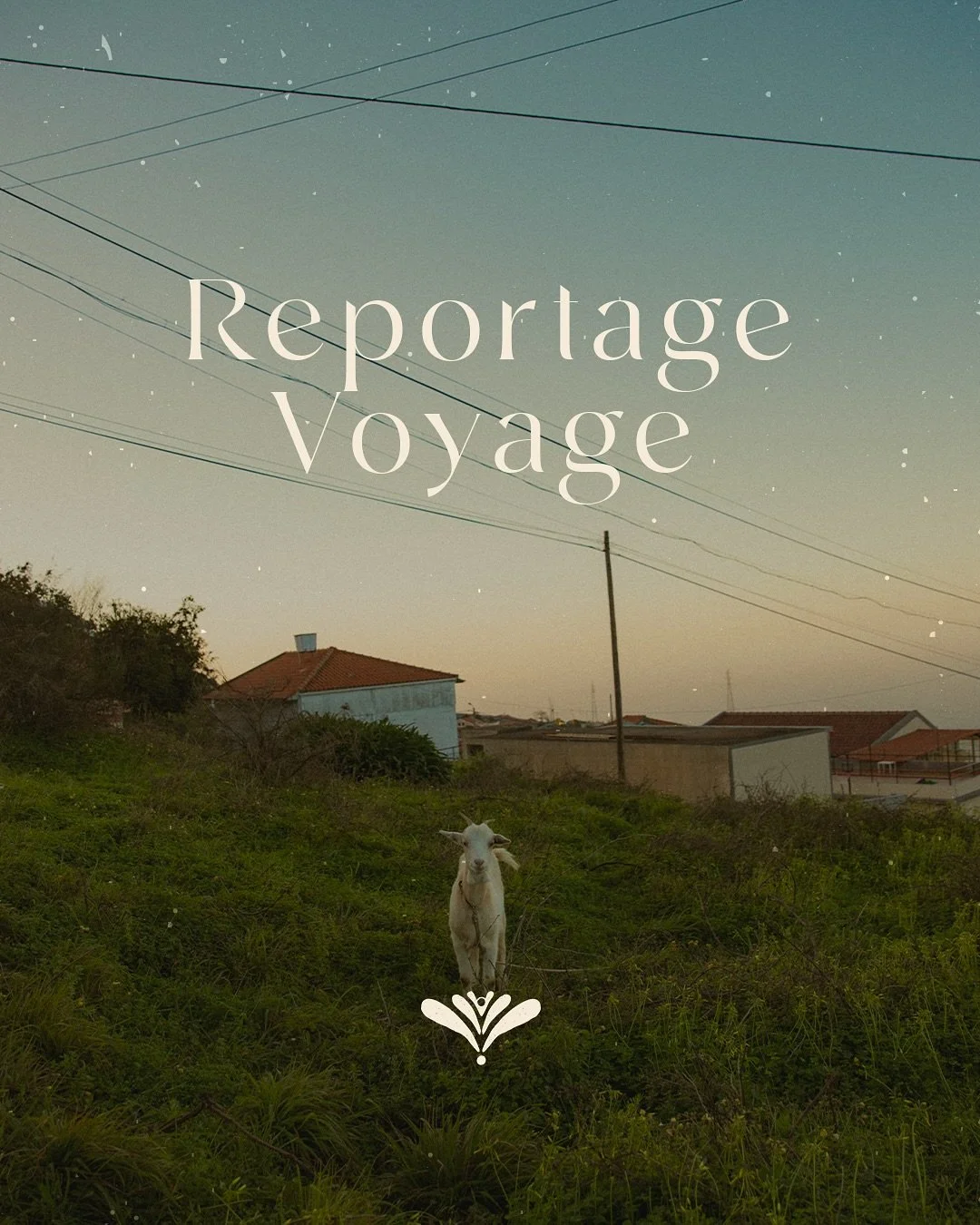 Mad&egrave;re, Portugal, 2024.

Quelques clich&eacute;s pour retranscrire l&rsquo;ambiance et les d&eacute;tails de l&rsquo;&icirc;le de Mad&egrave;re, parcourue en solo en janvier 2024.

Je vous ai d&eacute;j&agrave; d&eacute;voil&eacute; quelques i