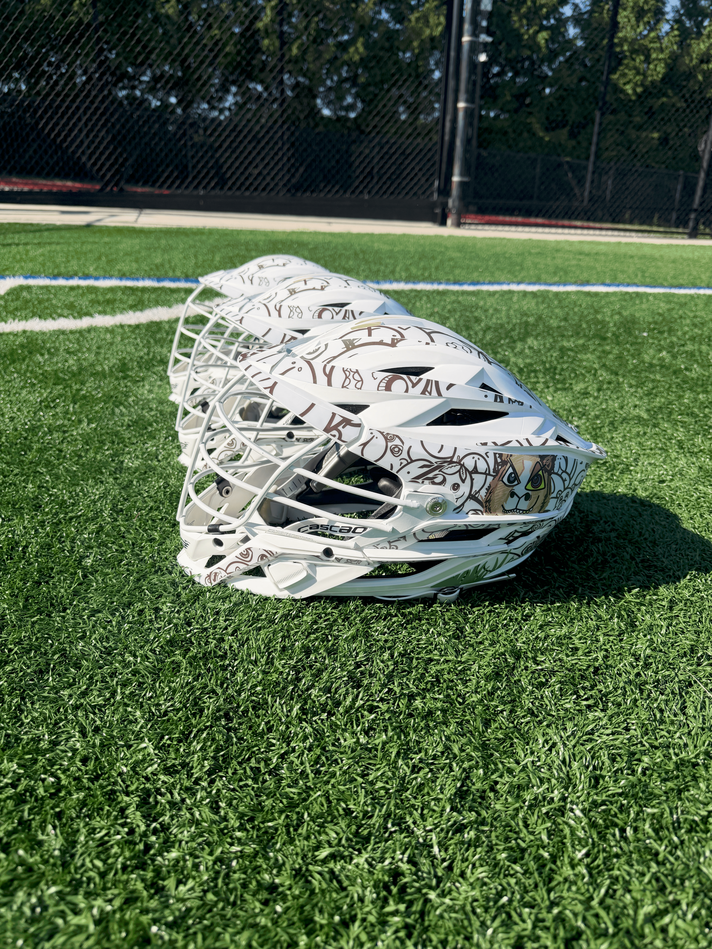 Capybara Cascade Z Flip Mask Helmet