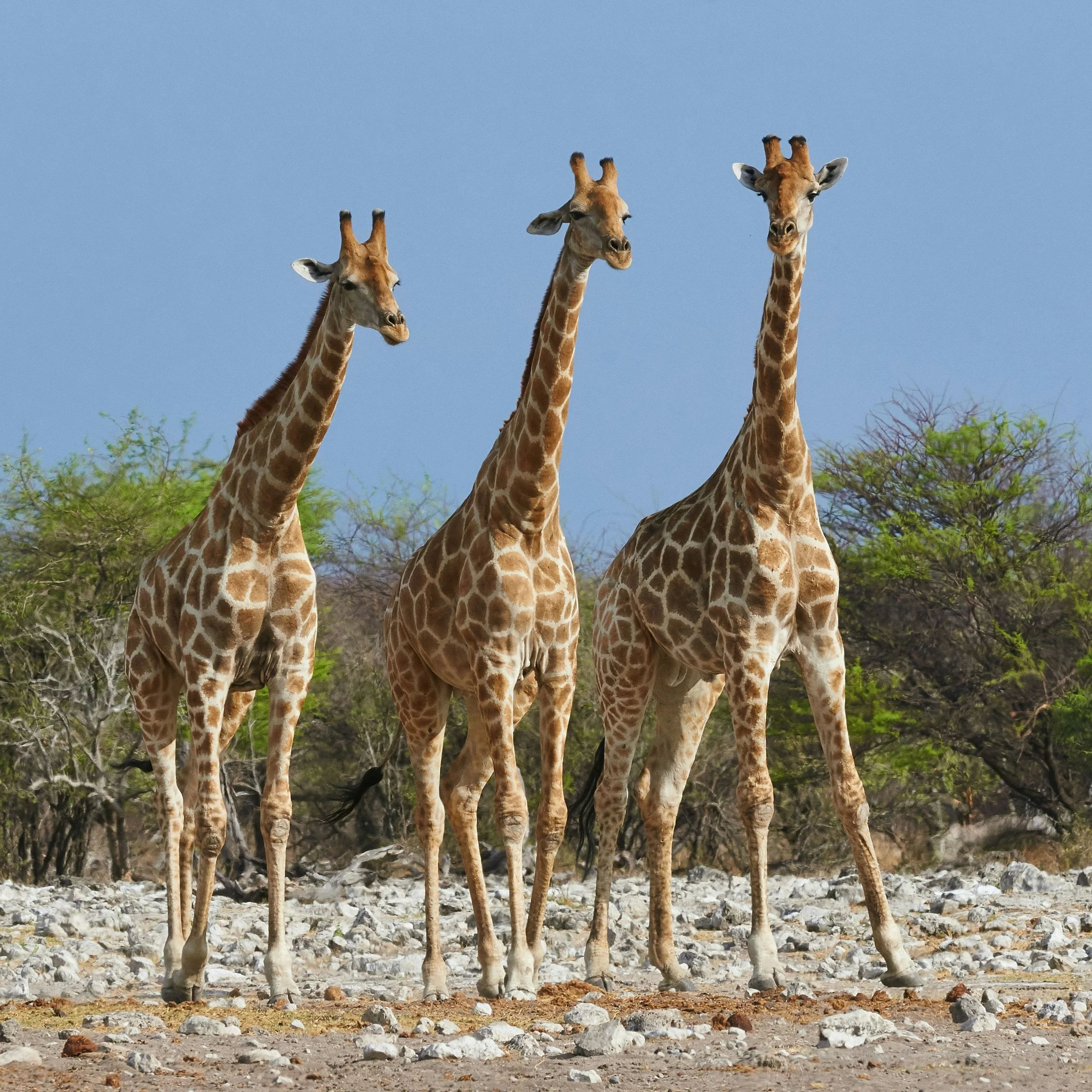 The Research on: Givers, Takers, and Matchers