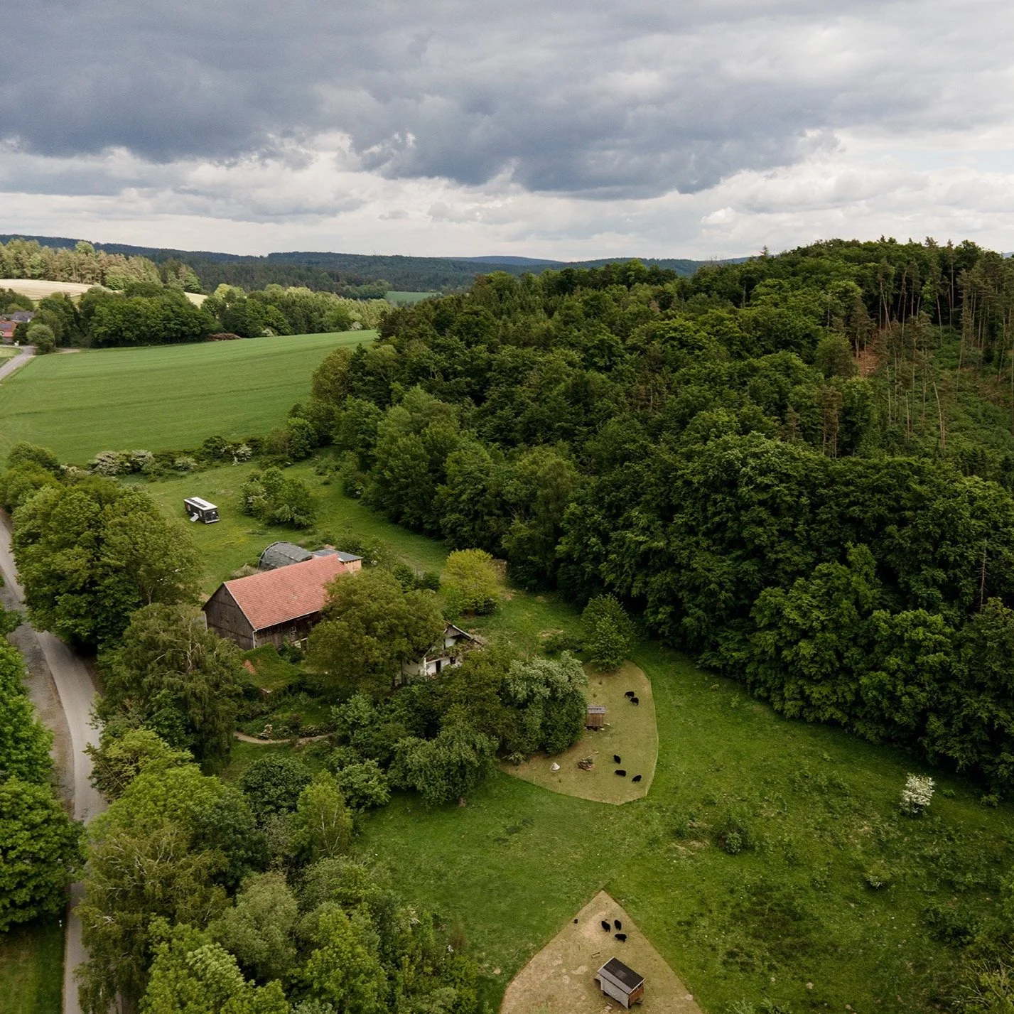 Landschaft mit Wald, Wiesen, einem Haus, einer Straße und einer Weide mit Rindern unter einem bewölkten Himmel.