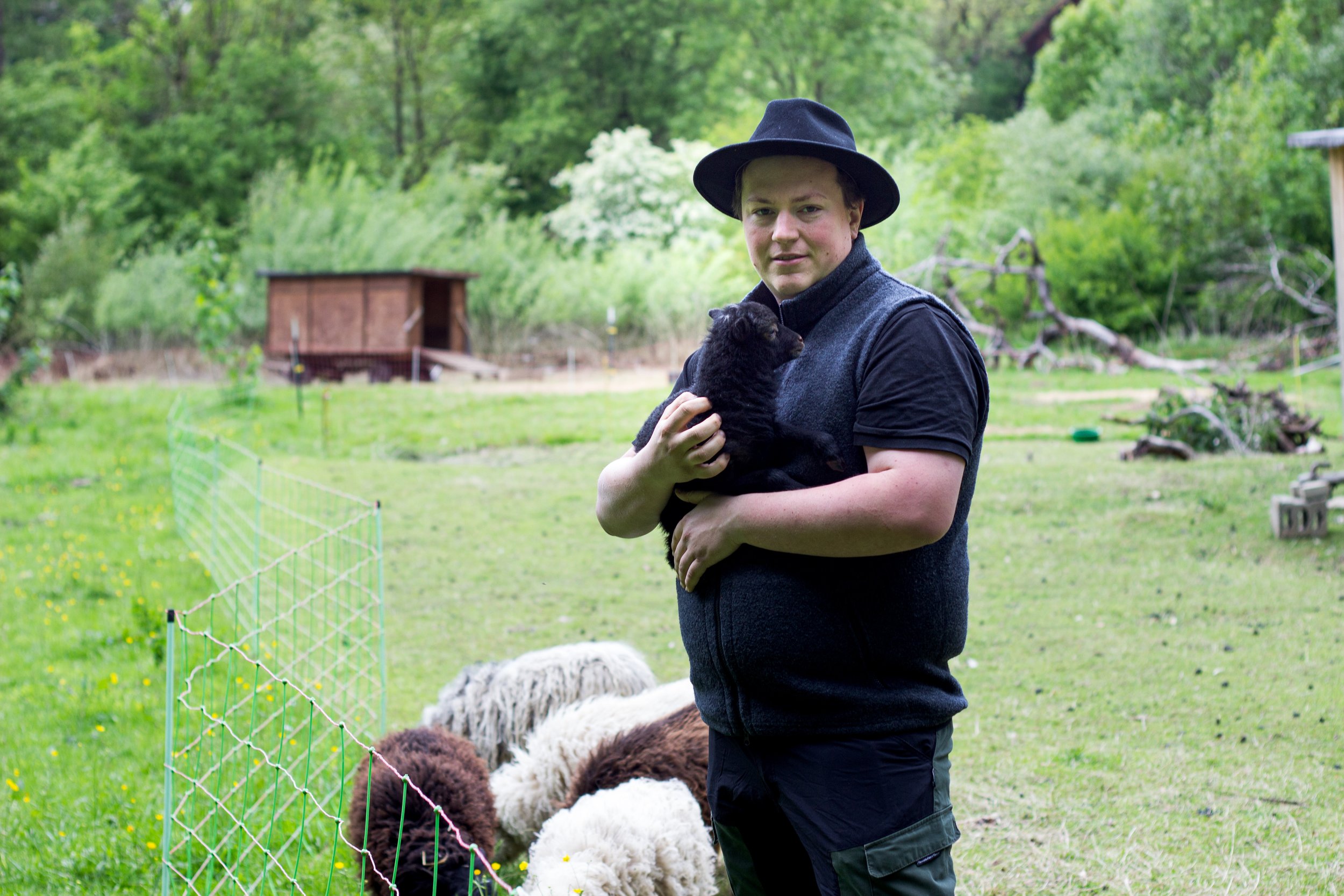 Junge Mann in schwarzer Weste und Hut hält ein kleines schwarzes Lamm auf einer grünen Wiese, im Hintergrund mehrere Schafe und eine kleine Hütte, umgeben von Bäumen.