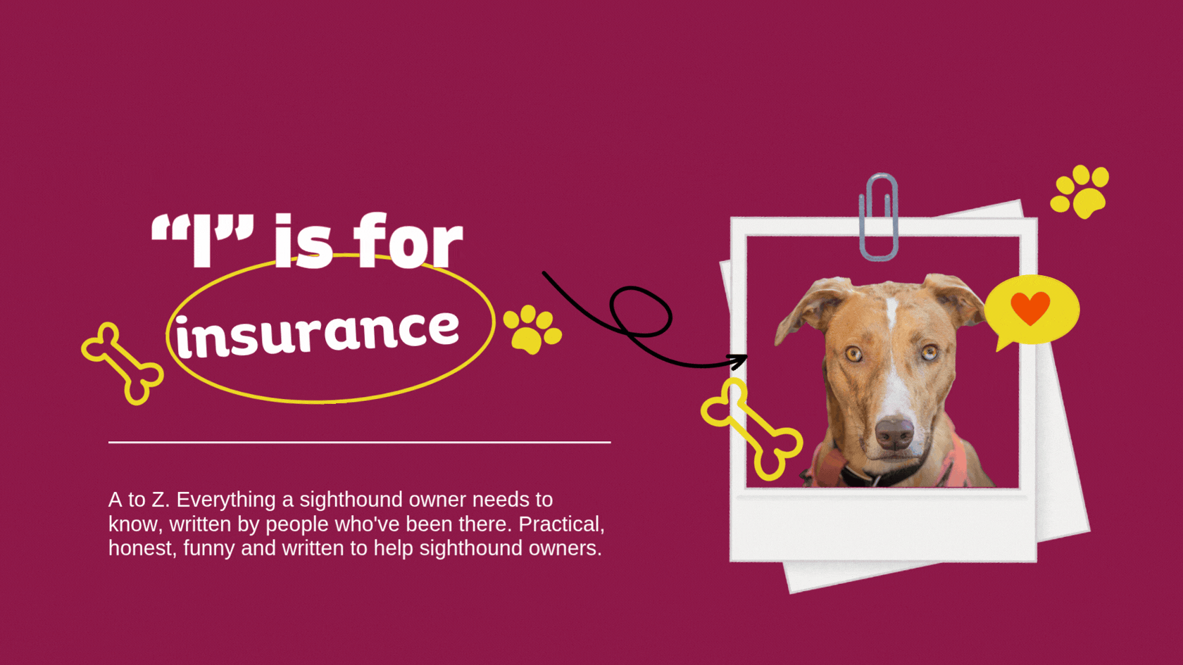 I is for Insurance