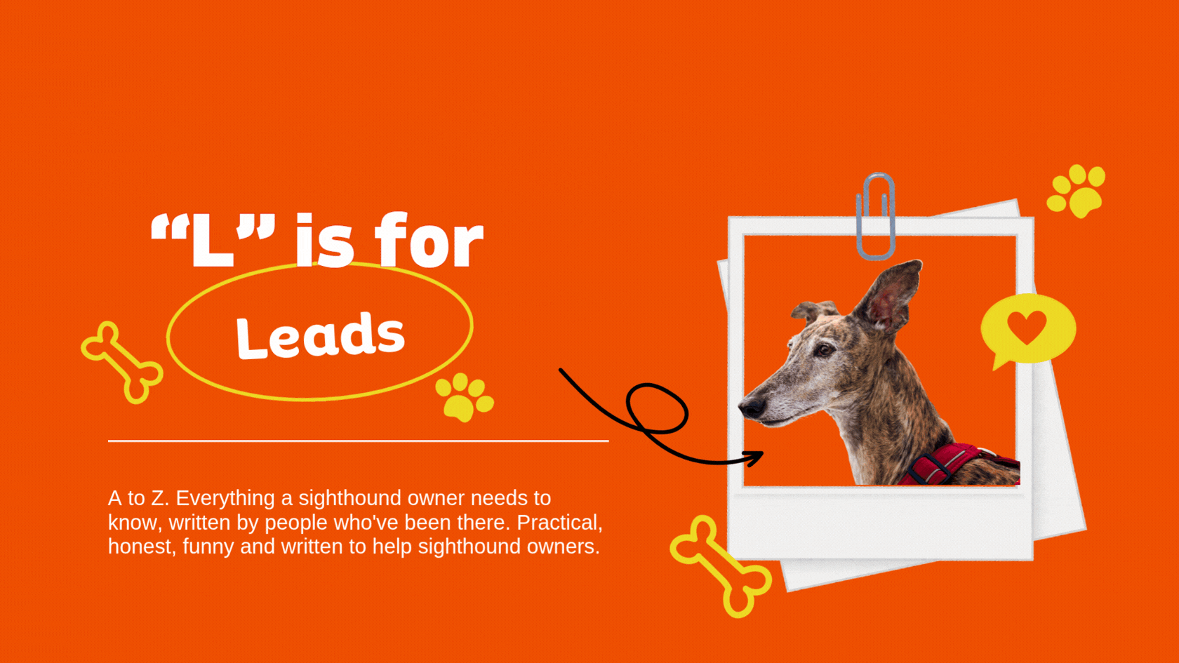 L is for Leads