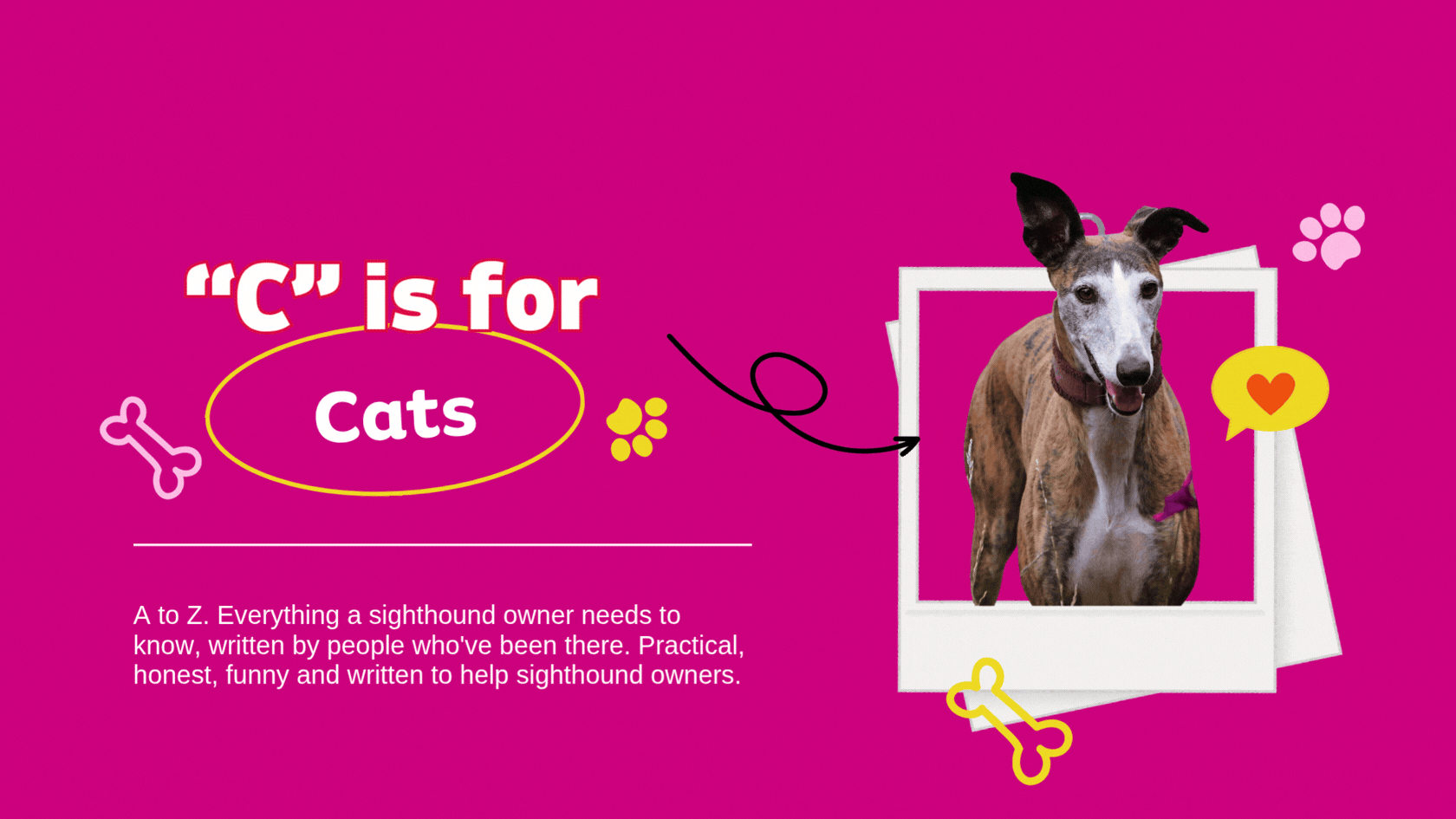 C is for Cats 