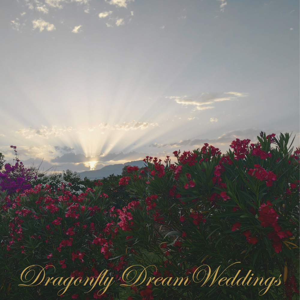 Sunset behind mountains with colorful flowers in foreground and the text 'Dragonfly Dream Weddings' at the bottom.