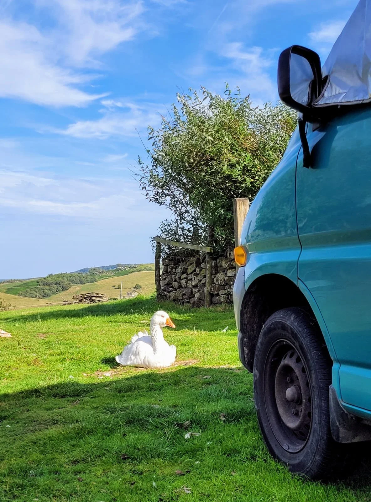 WhatsApp Image 2026-04-23 at 12.27.10.jpeg