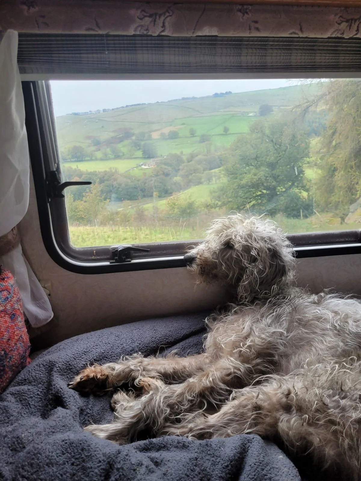 WhatsApp Image 2026-04-23 at 12.27.08 (8).jpeg