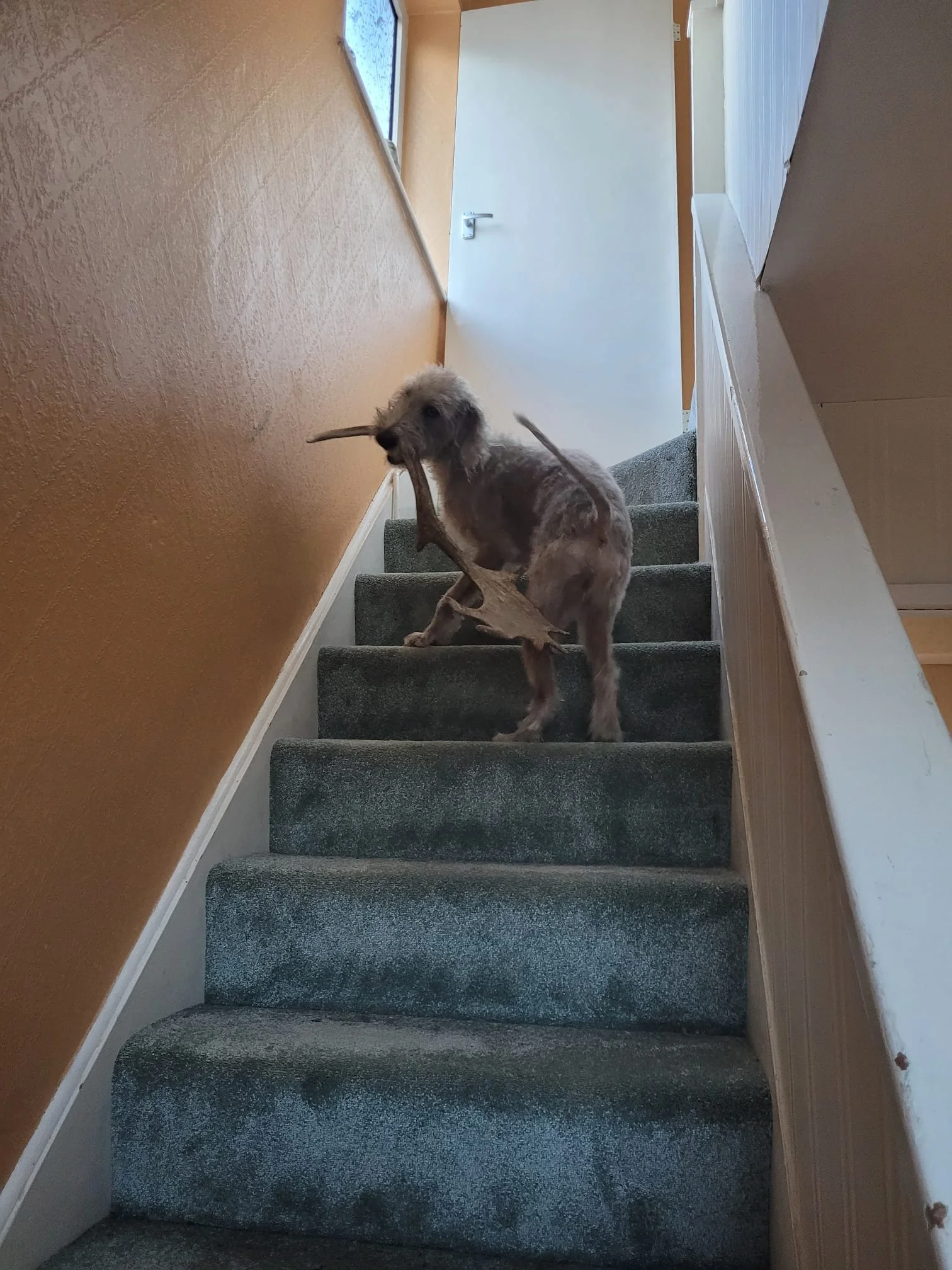 WhatsApp Image 2026-04-23 at 12.27.08 (7).jpeg