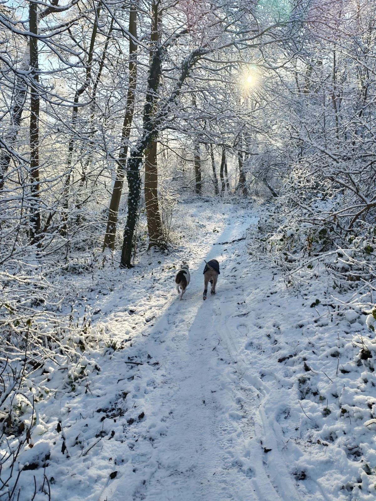 WhatsApp Image 2026-04-23 at 12.27.08 (4).jpeg