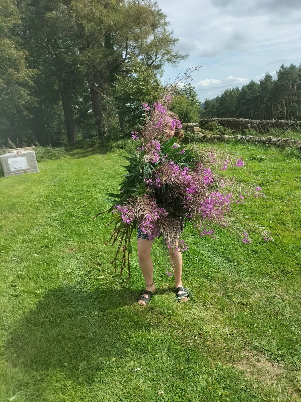 WhatsApp Image 2026-04-23 at 12.27.08 (3).jpeg